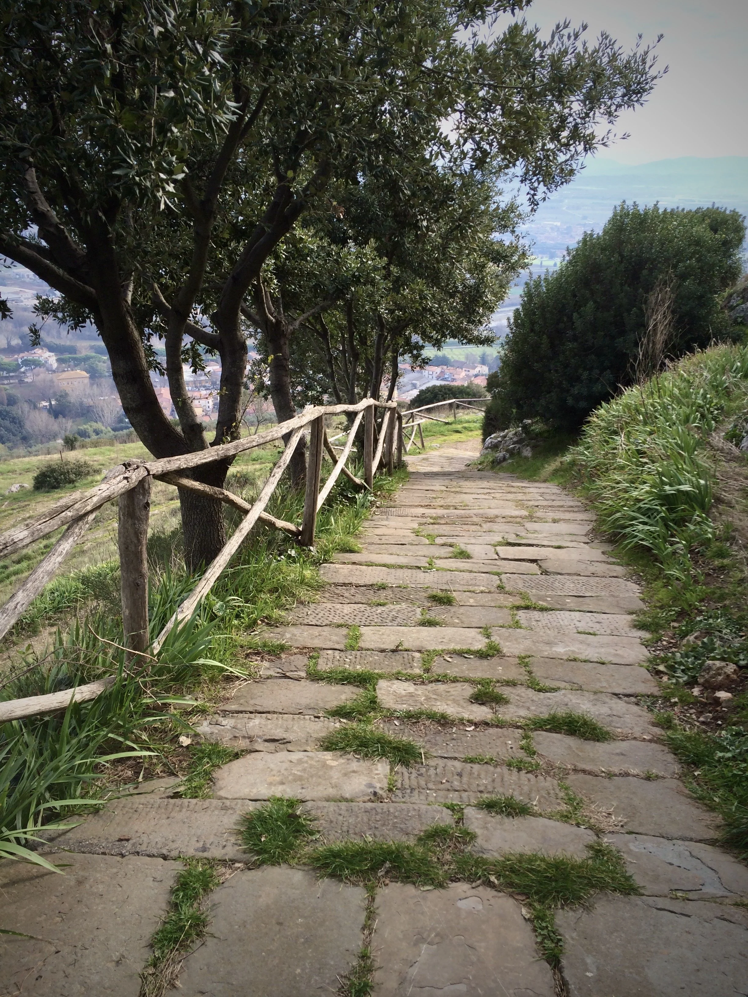 It Was Never About a Yellow Brick Road