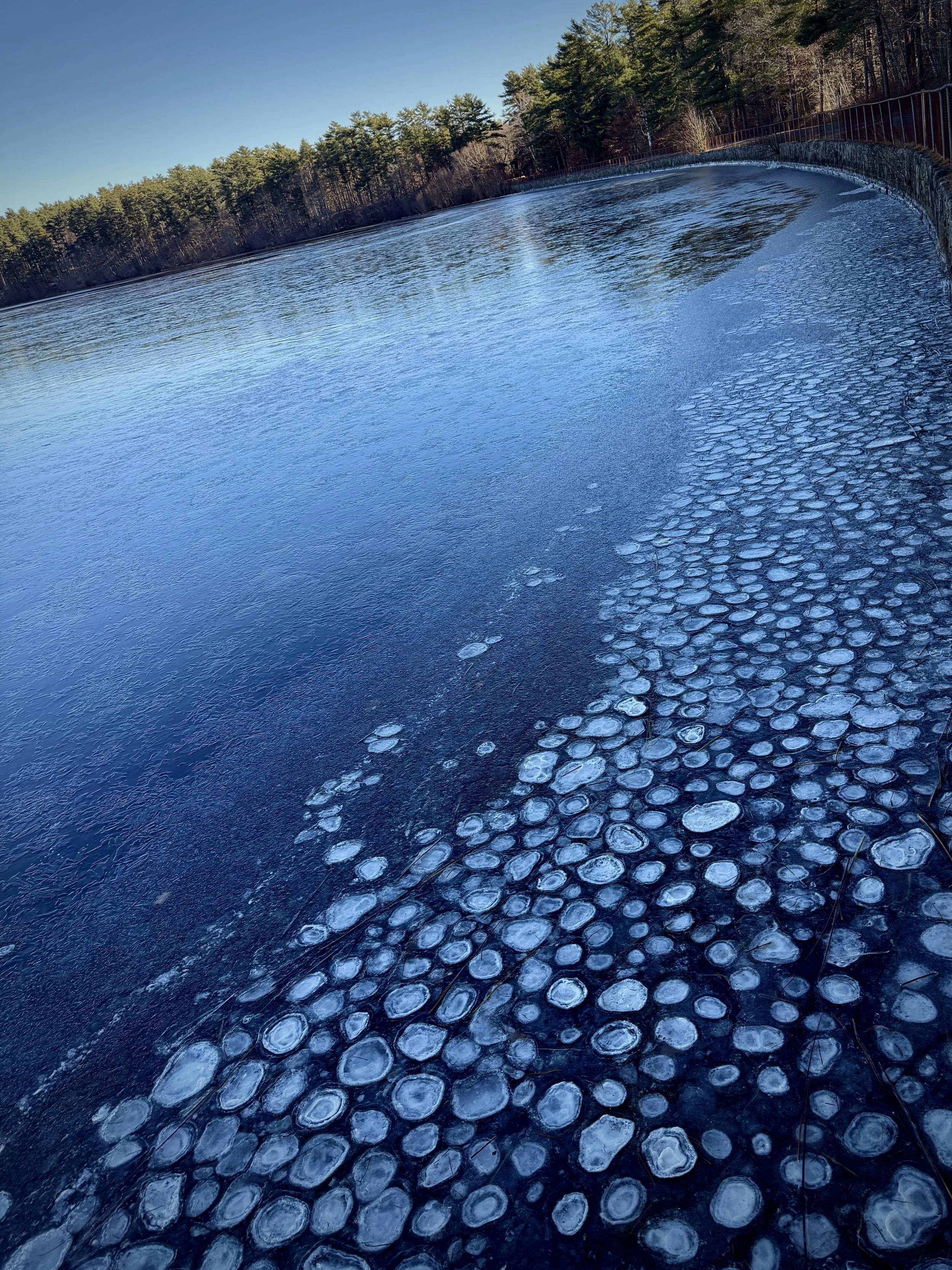 Stepping Back to See Forward