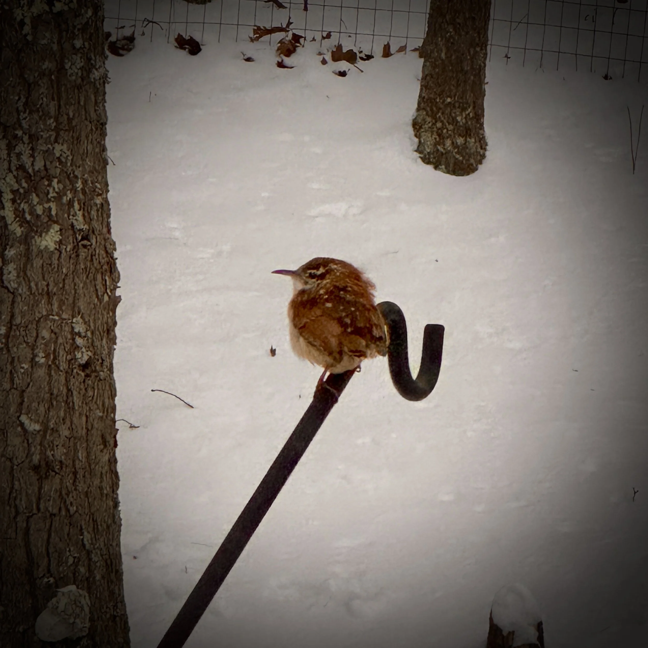 Waiting For the Turn