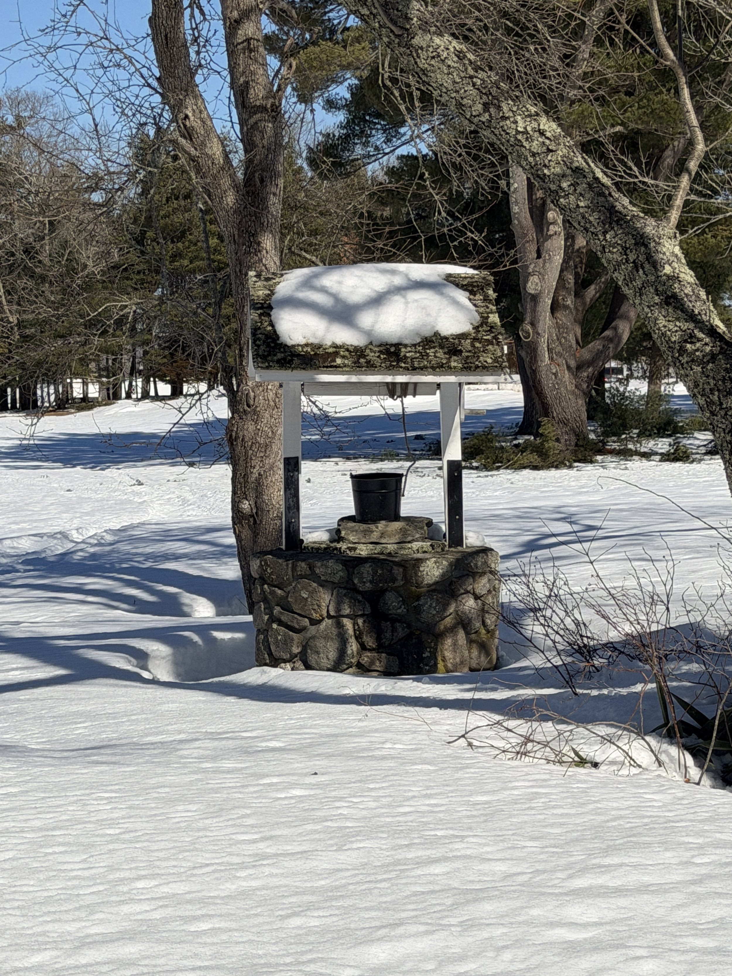 Movement Beneath Stillness