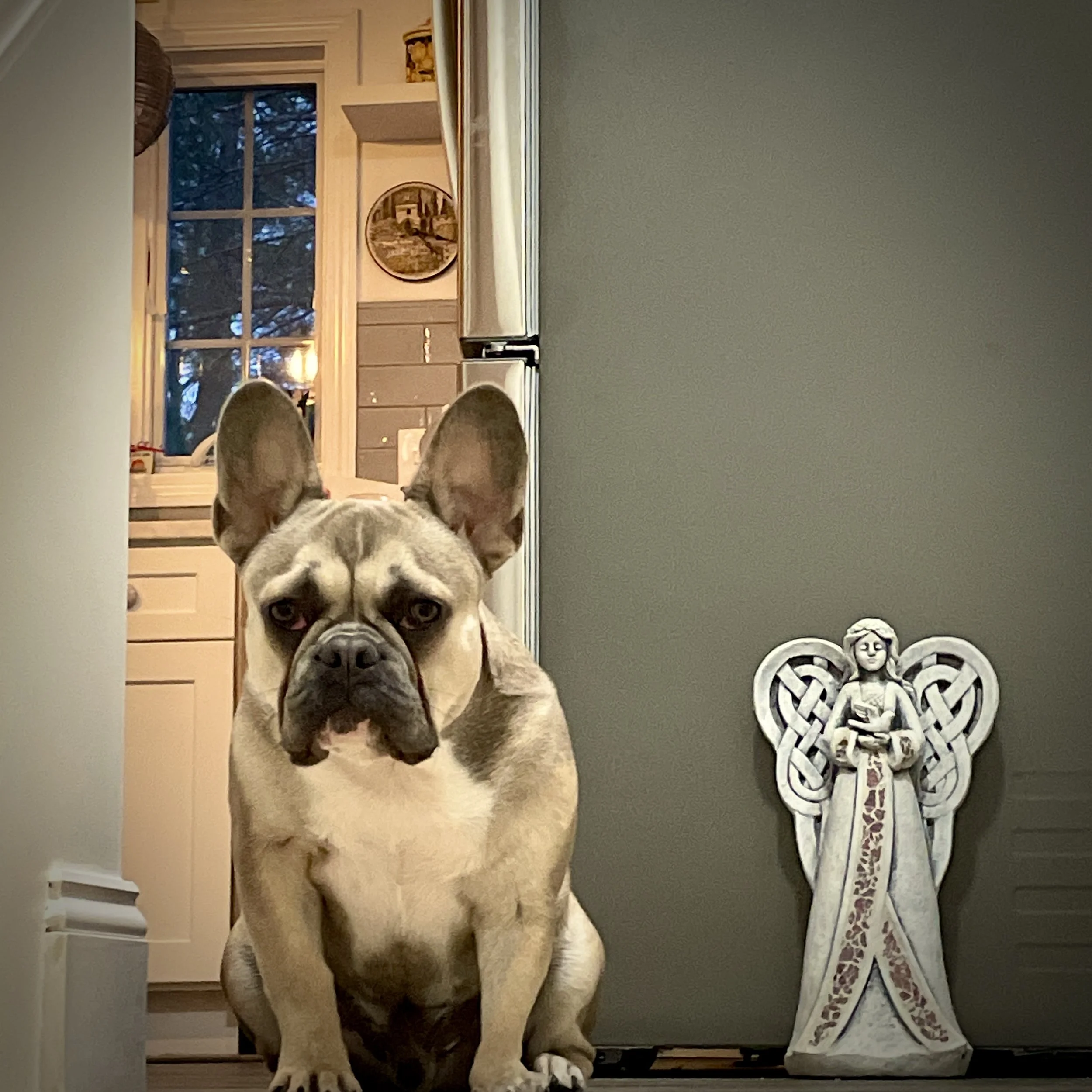 Buddy Boy                       Our Protector