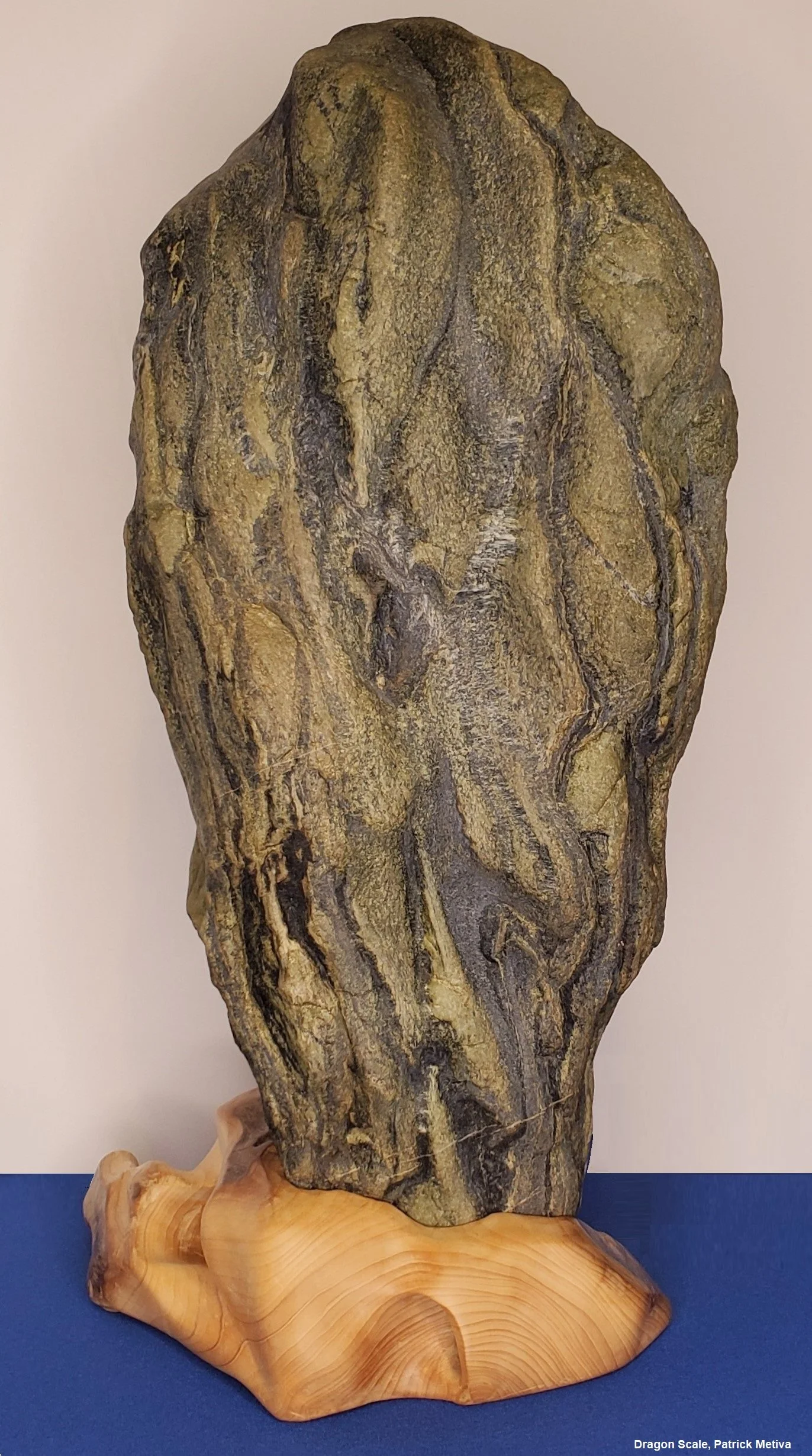 Dragon Scale, Patrick Metiva