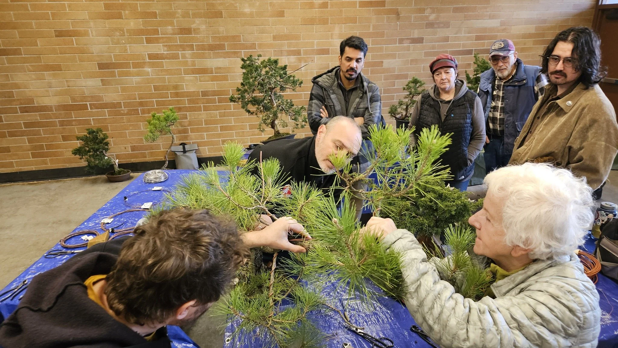 Credit Ben Nguyen 1.jpg