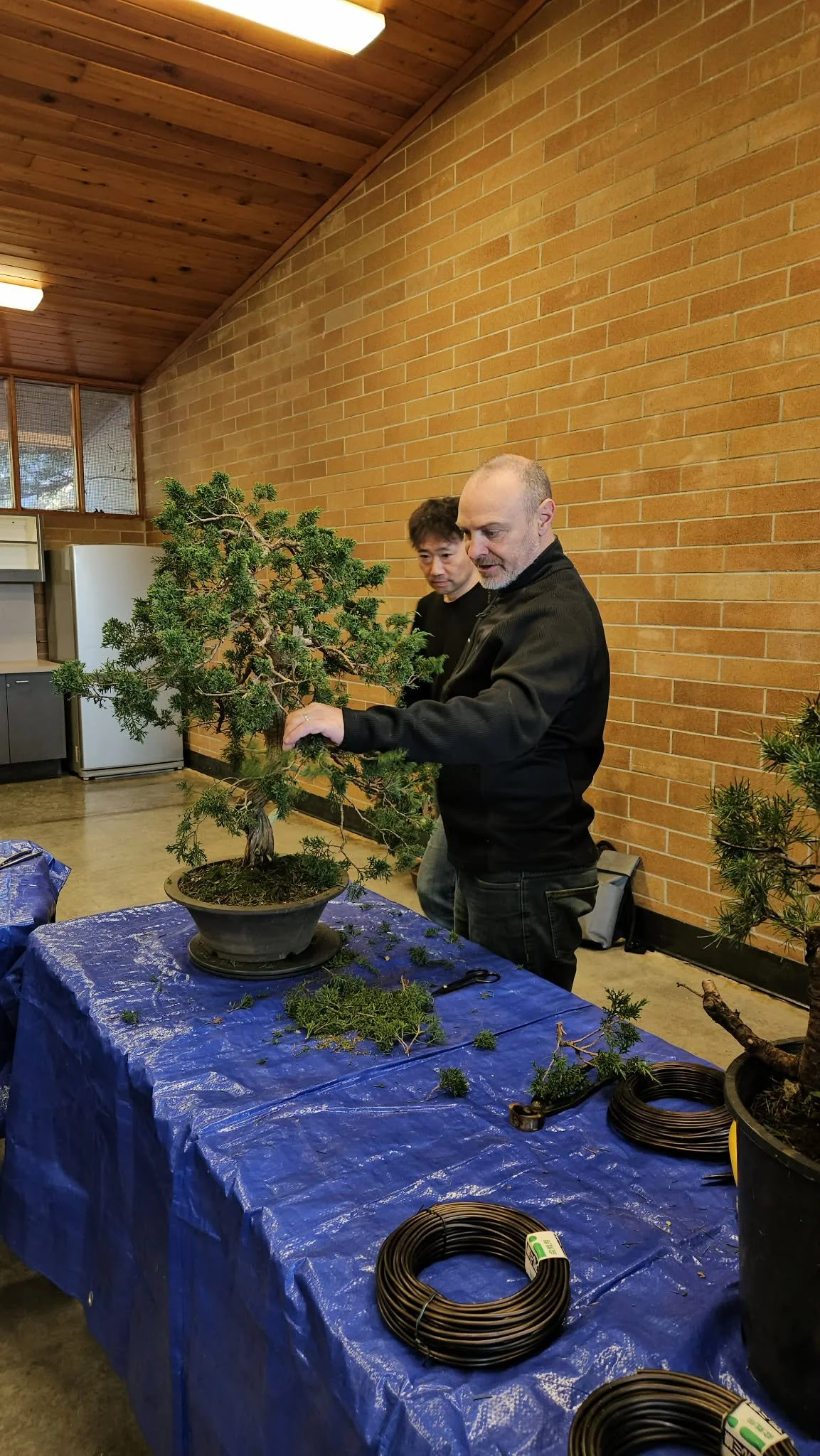 Credit Ben Nguyen 4.jpeg