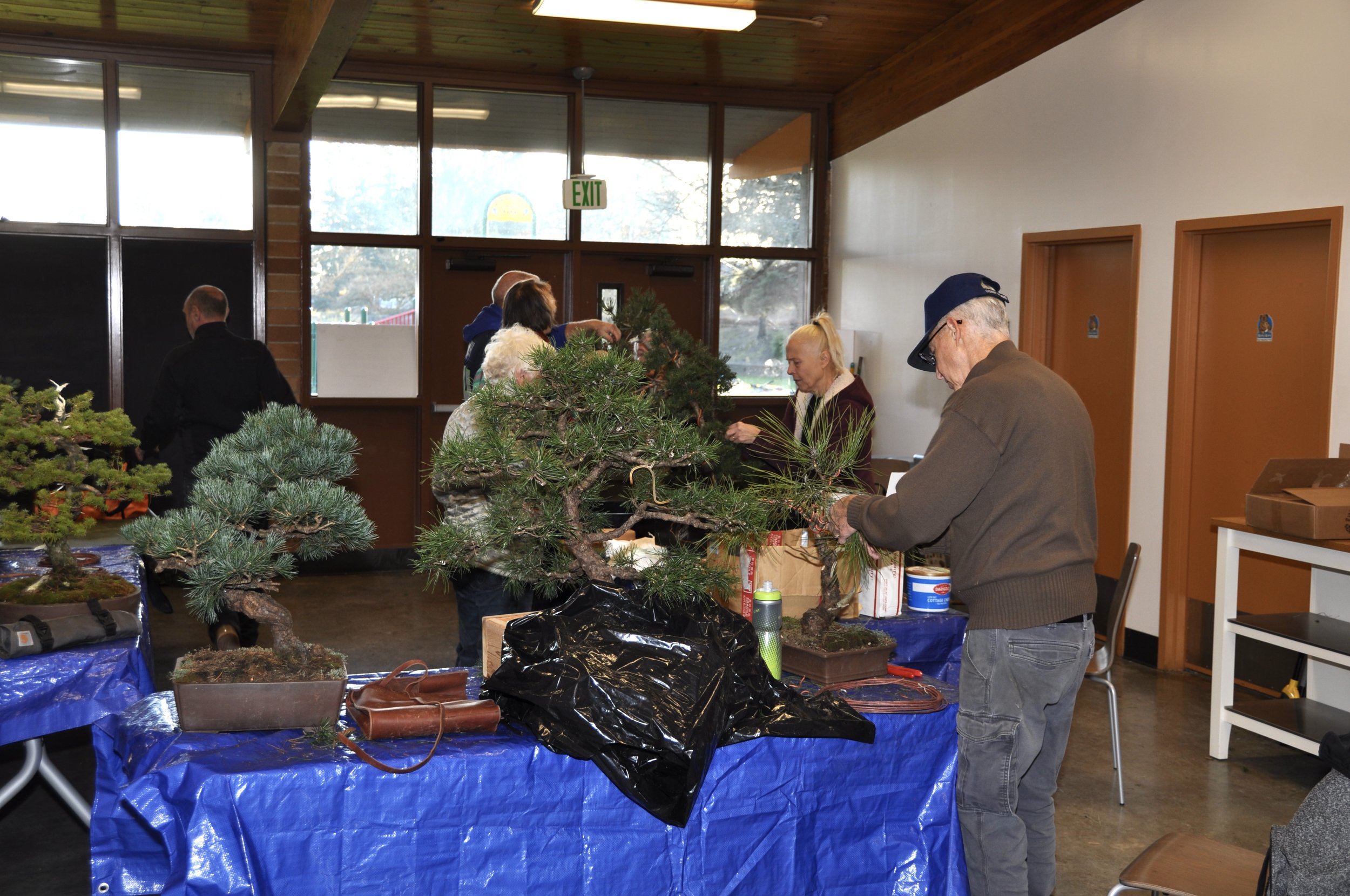 Credit Josef Leibfried 1.JPG