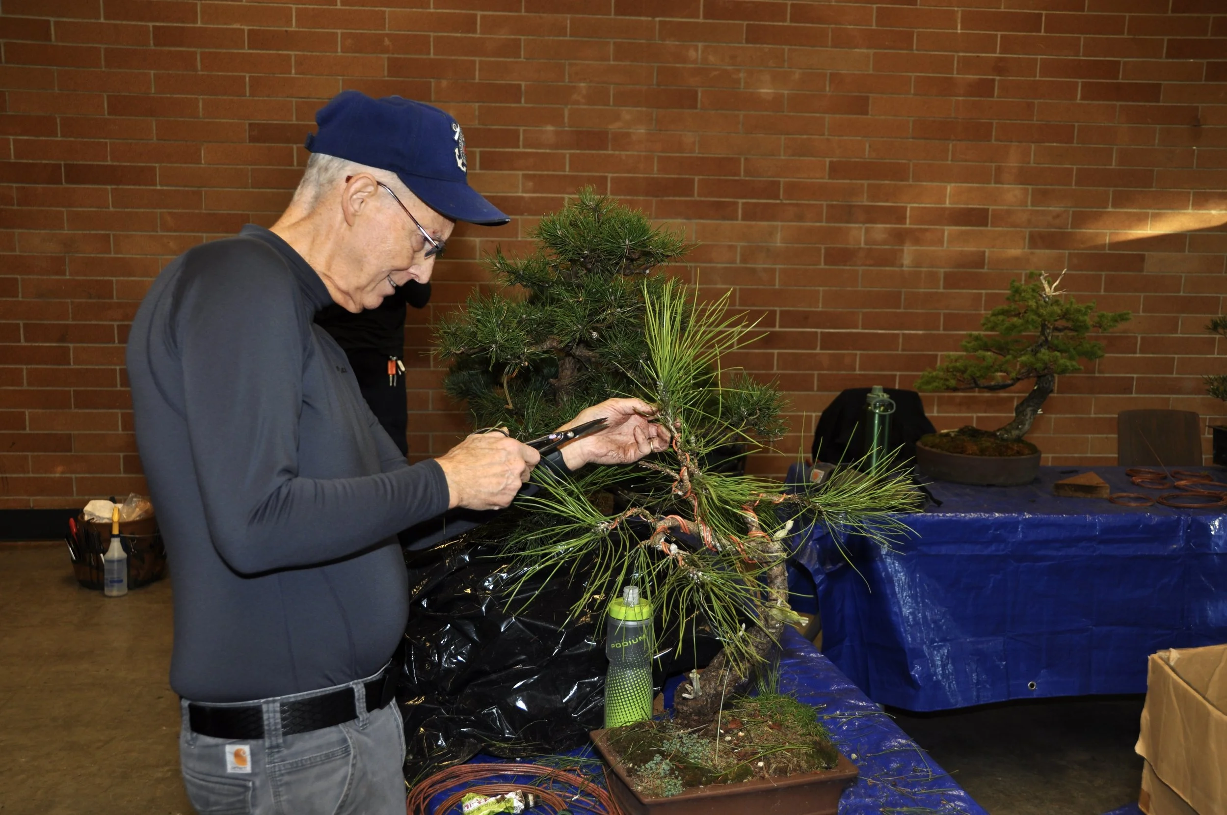 Credit Josef Leibfried 2.JPG