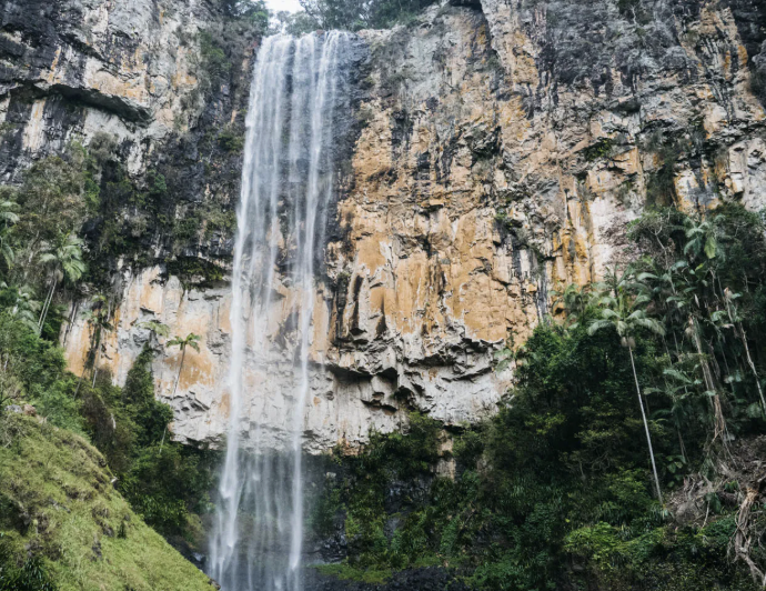 Spring Kids and Adult Activities in Montclair and Essex County, NJ