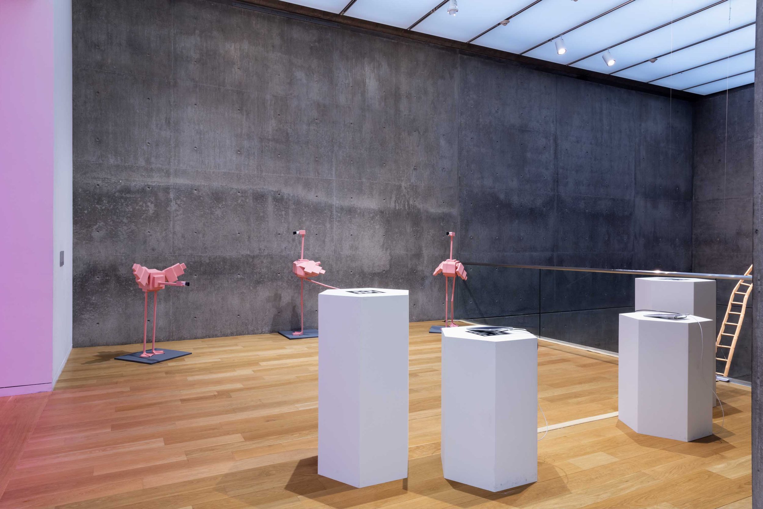 Courtesy of the Modern Art Museum of Fort Worth. Photograph by Kevin Todora.