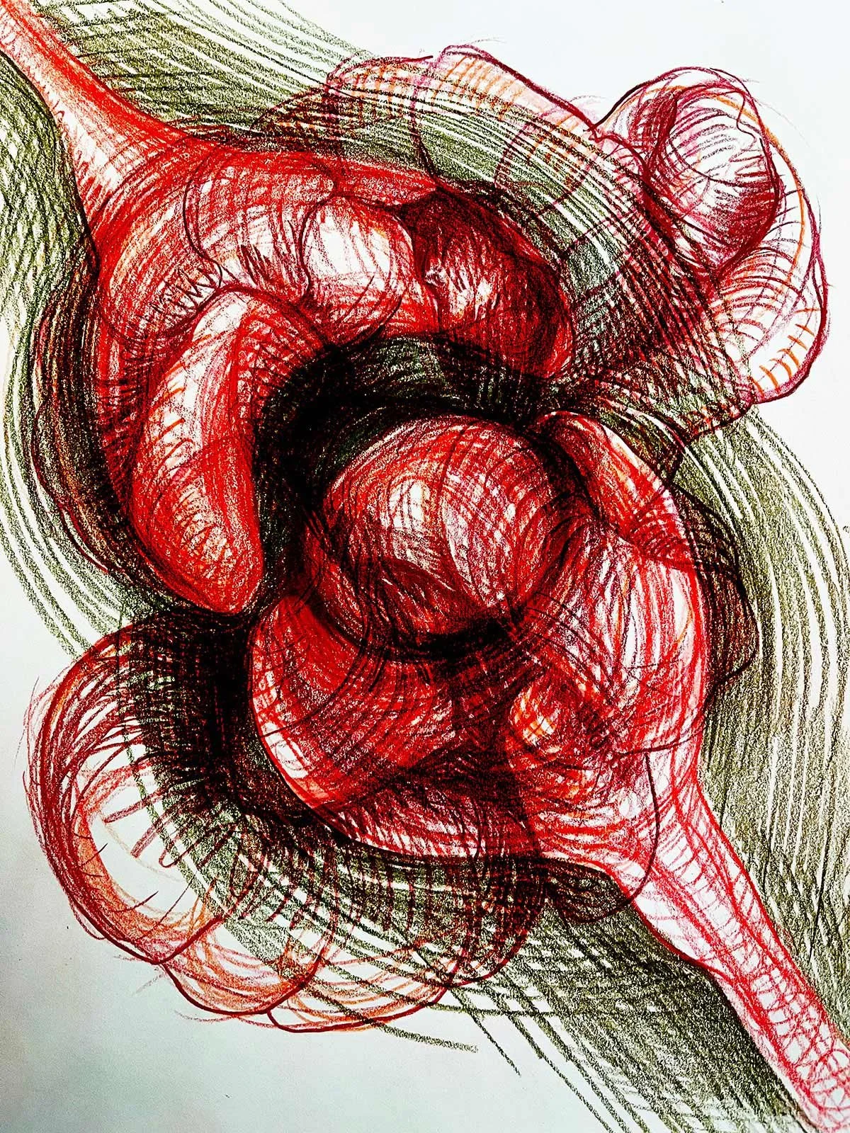 Ober_Nest-of-Beast_07.jpg