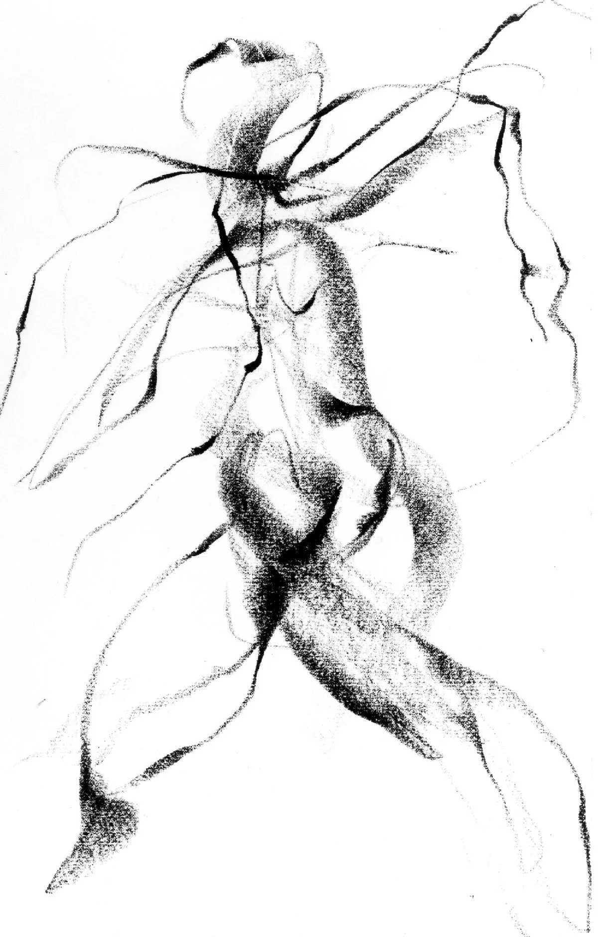 Ober_Dancer_04.jpg