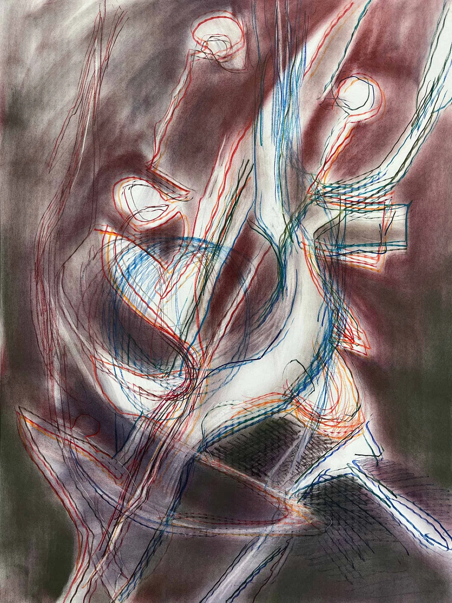 Ober_Sheep-skeleton_03.JPG