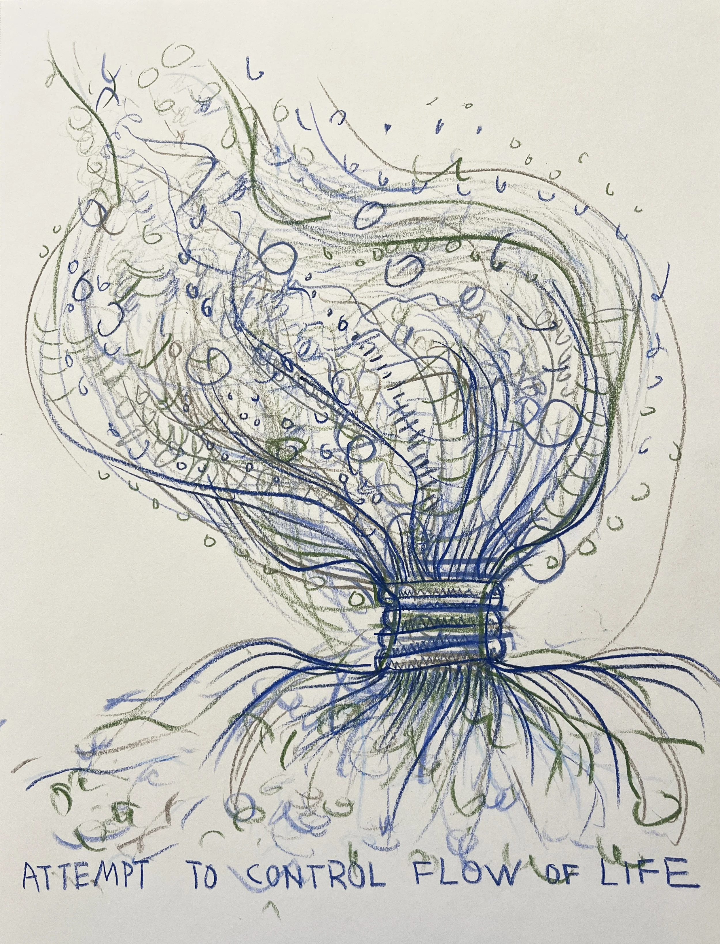 Attempt to Control Flow of Life.JPG