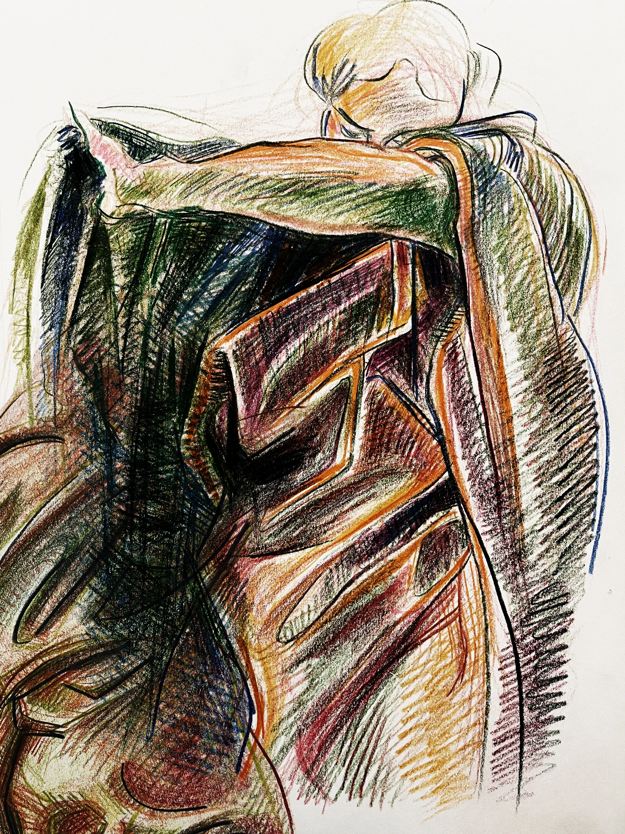 Composite_IMG_3068-3081_Sargent Mash-up..jpg