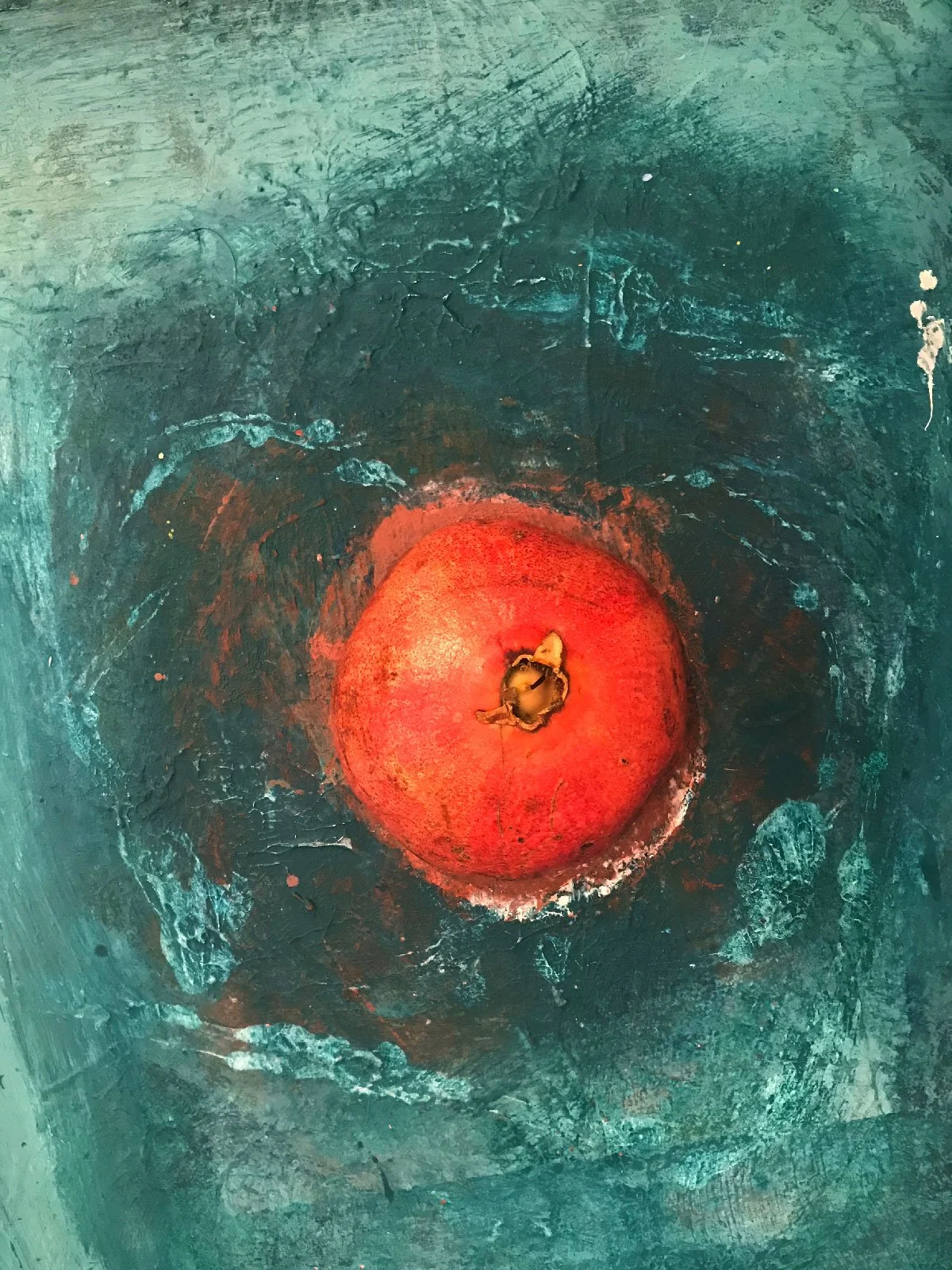 Ober_Pomegranates_03.jpg