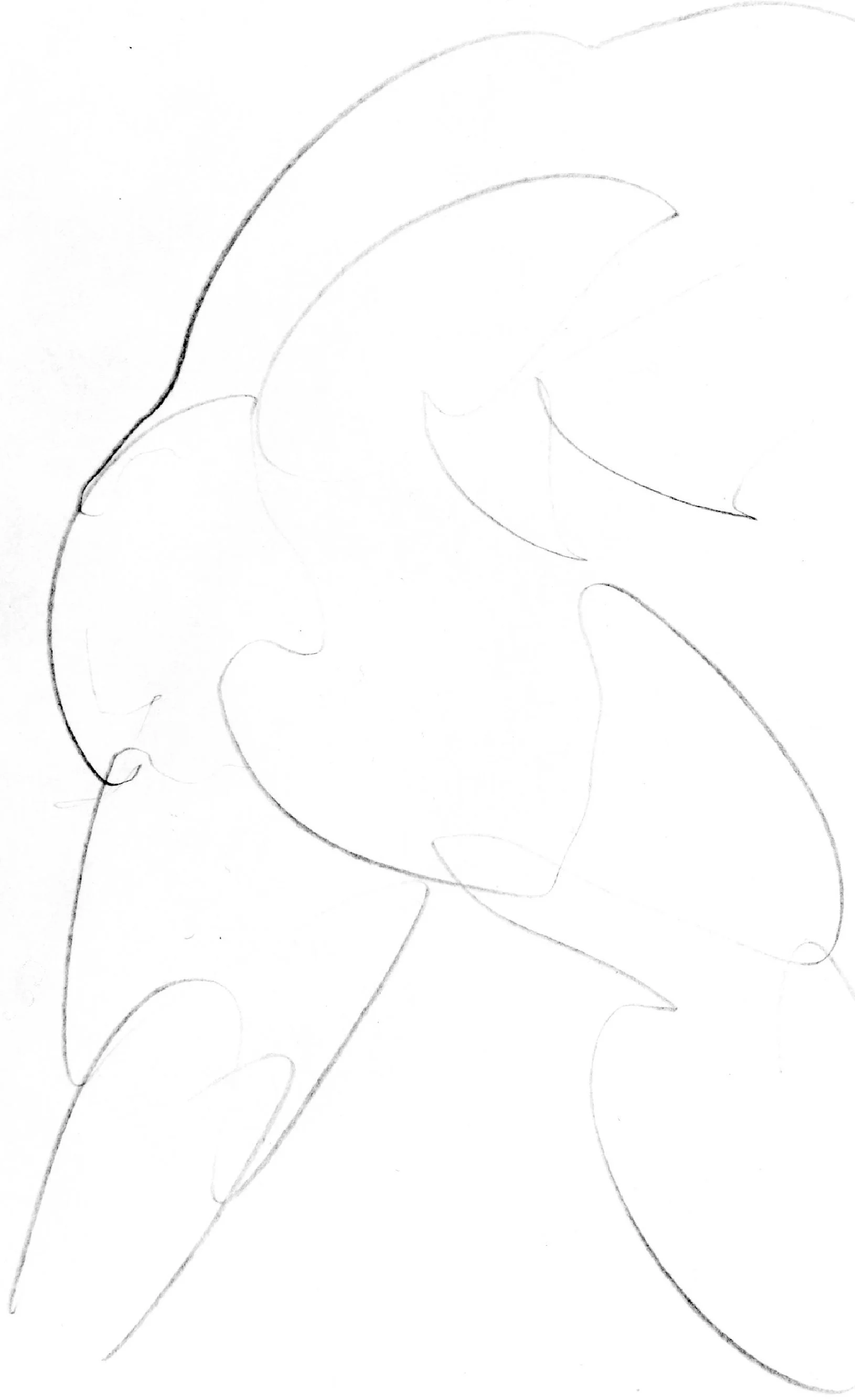 Ober_Dancer_08.jpg