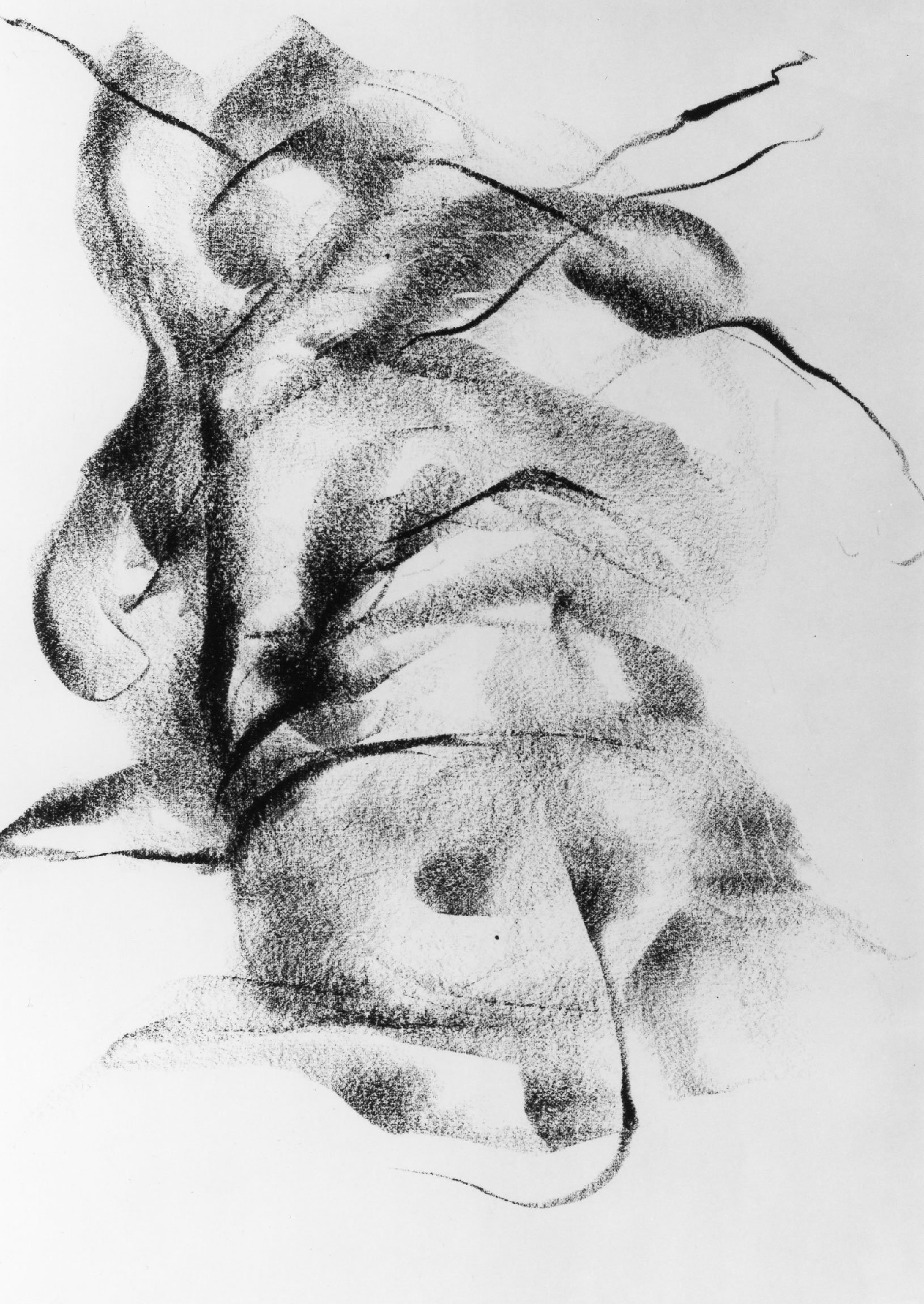 Ober_Dancer_07.jpg