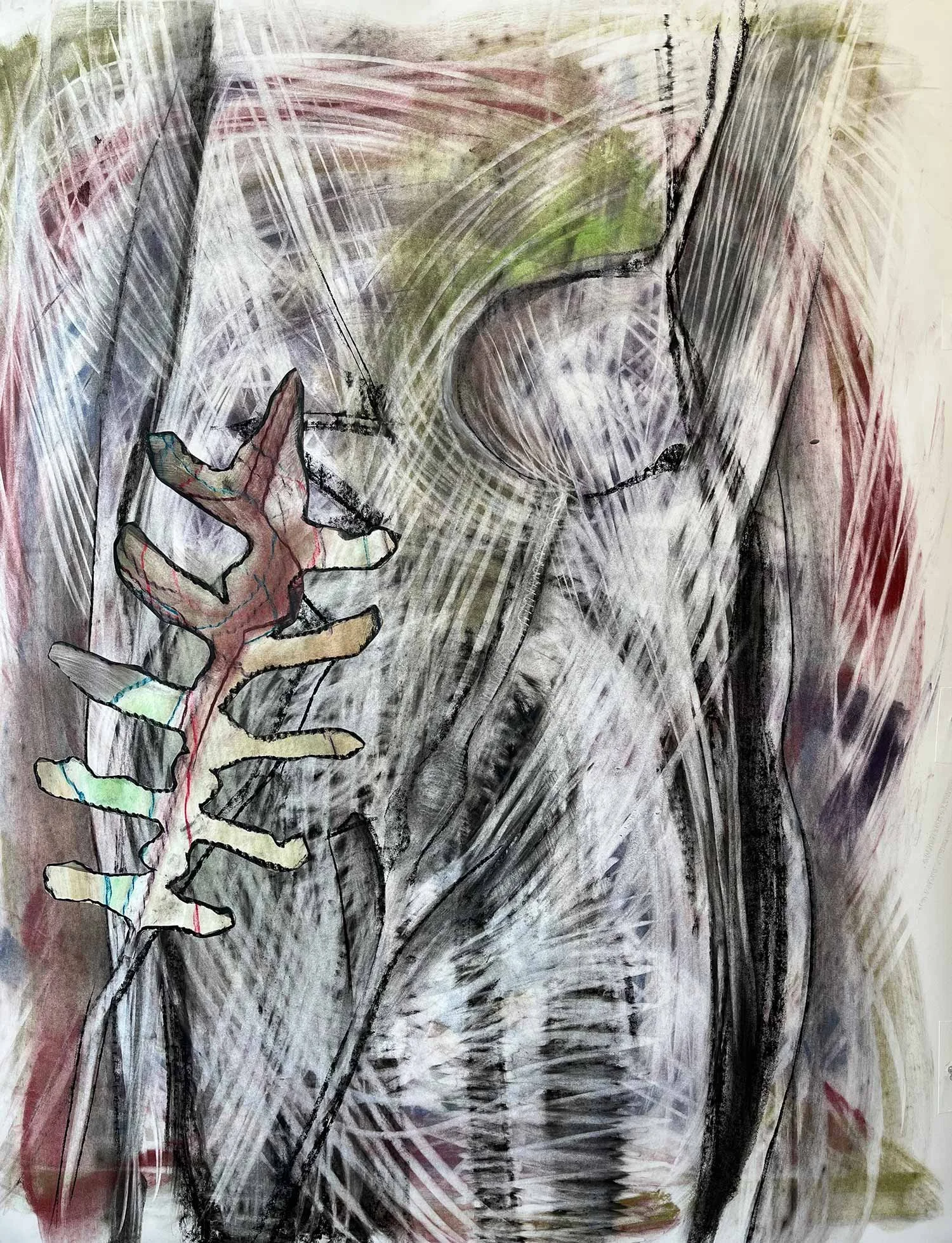Ober_Sheep-skeleton_02.jpg