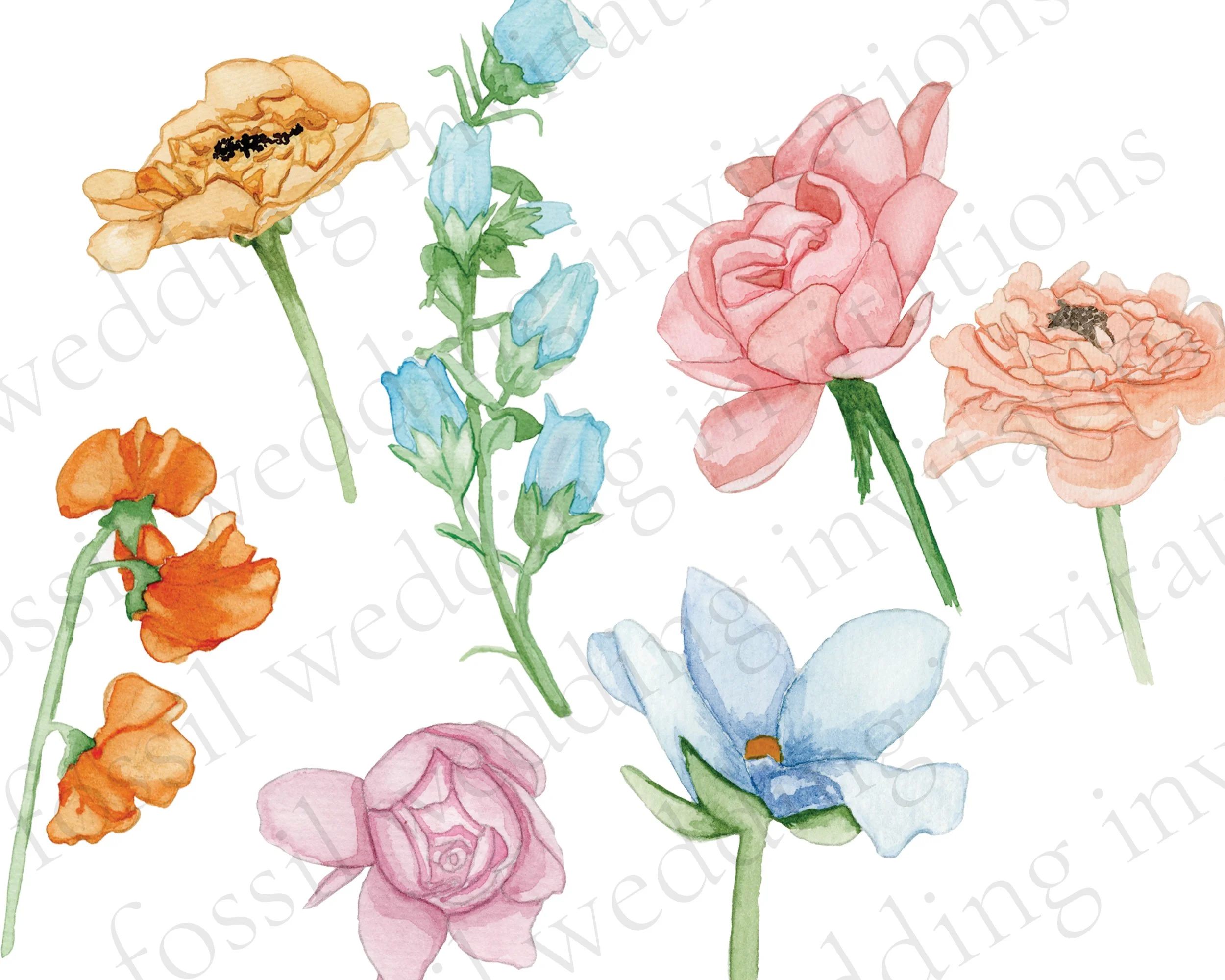 color flowers etsy garden floral listing copy.jpg