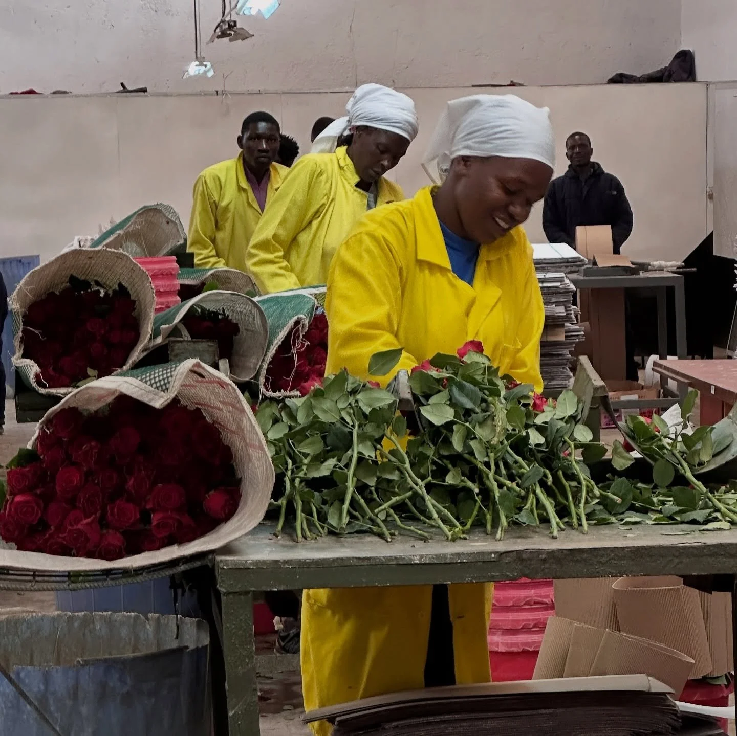 Farm Tour Day 1
#Kenya #ifaj #Agriculture