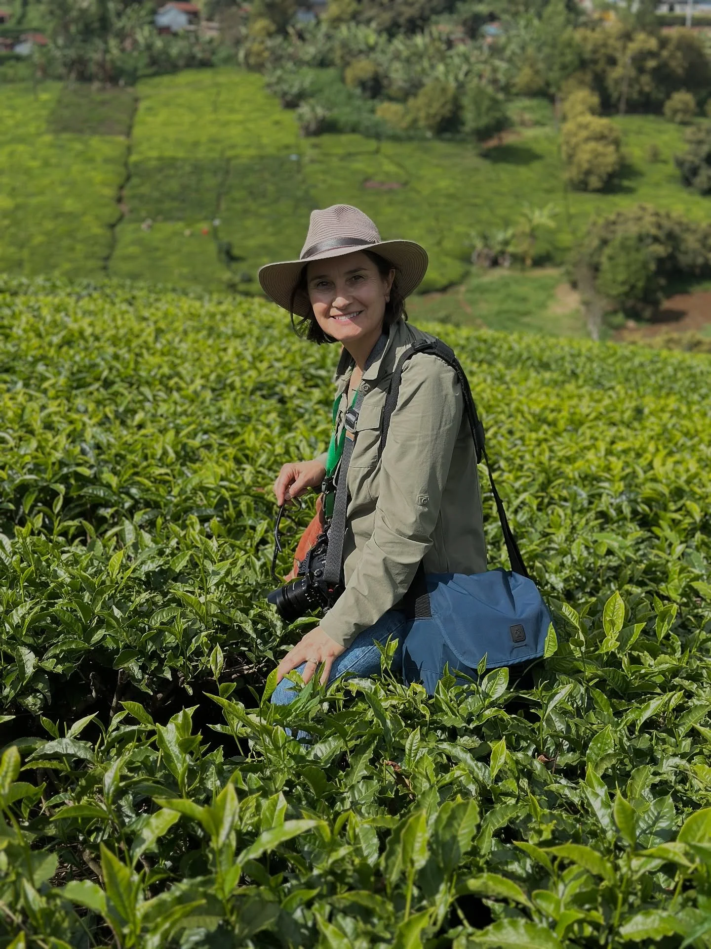 #Kenya #tea #IFAJ #Agriculture #agjournalist