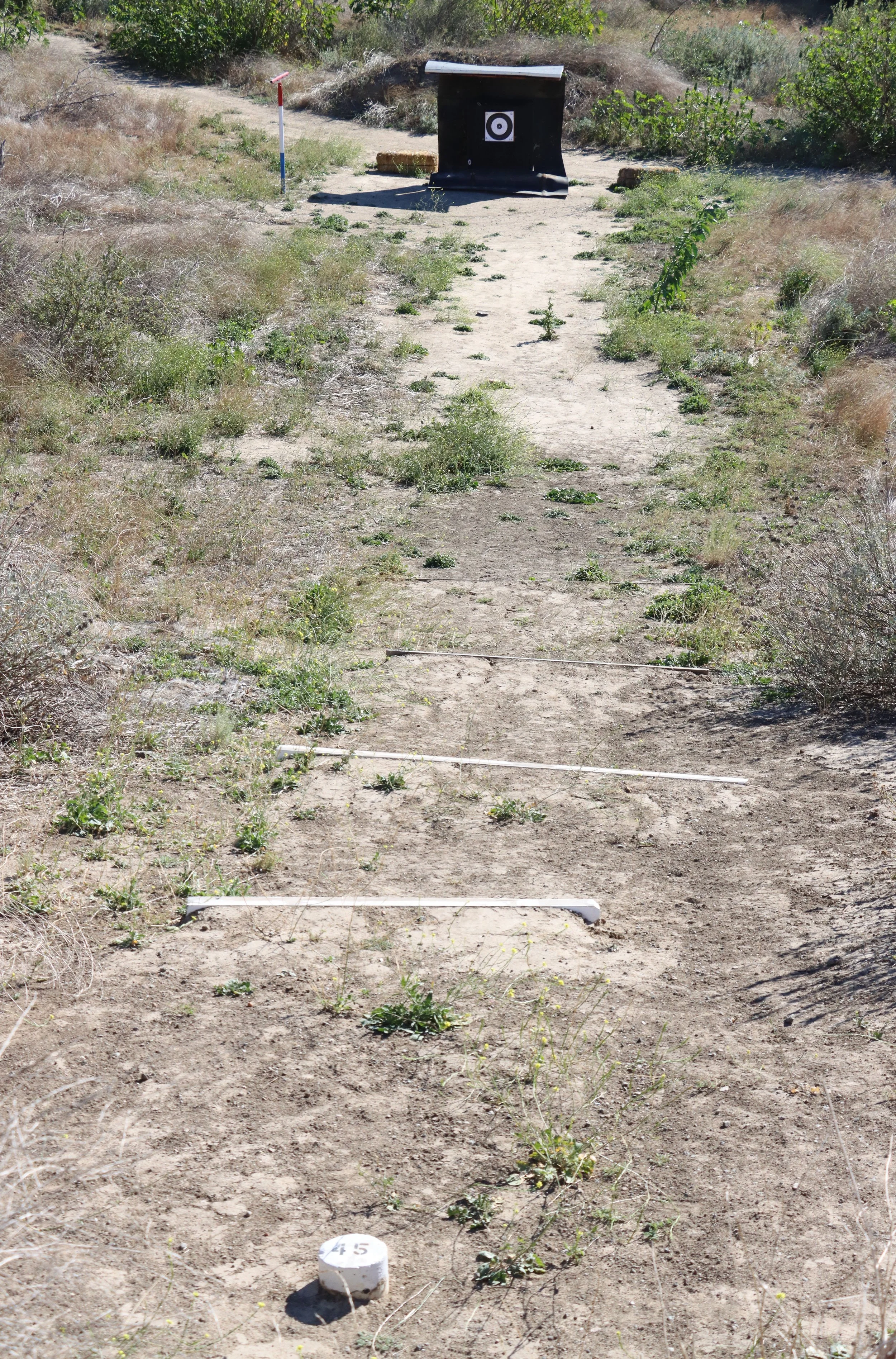 Target 24_IMG_2304_a.JPG