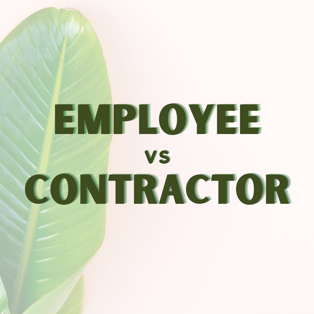 Employee vs Contractor