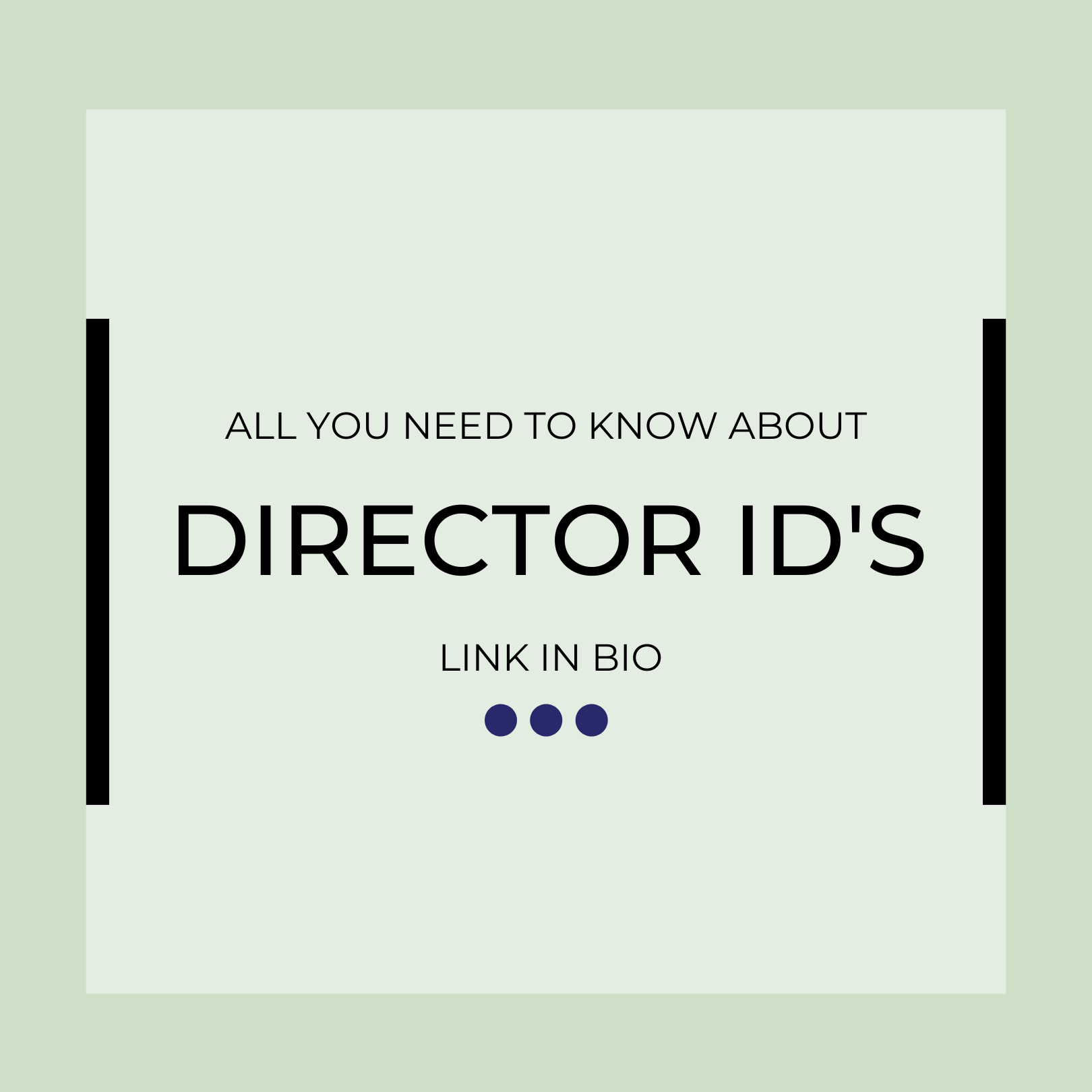 Director Identification Numbers