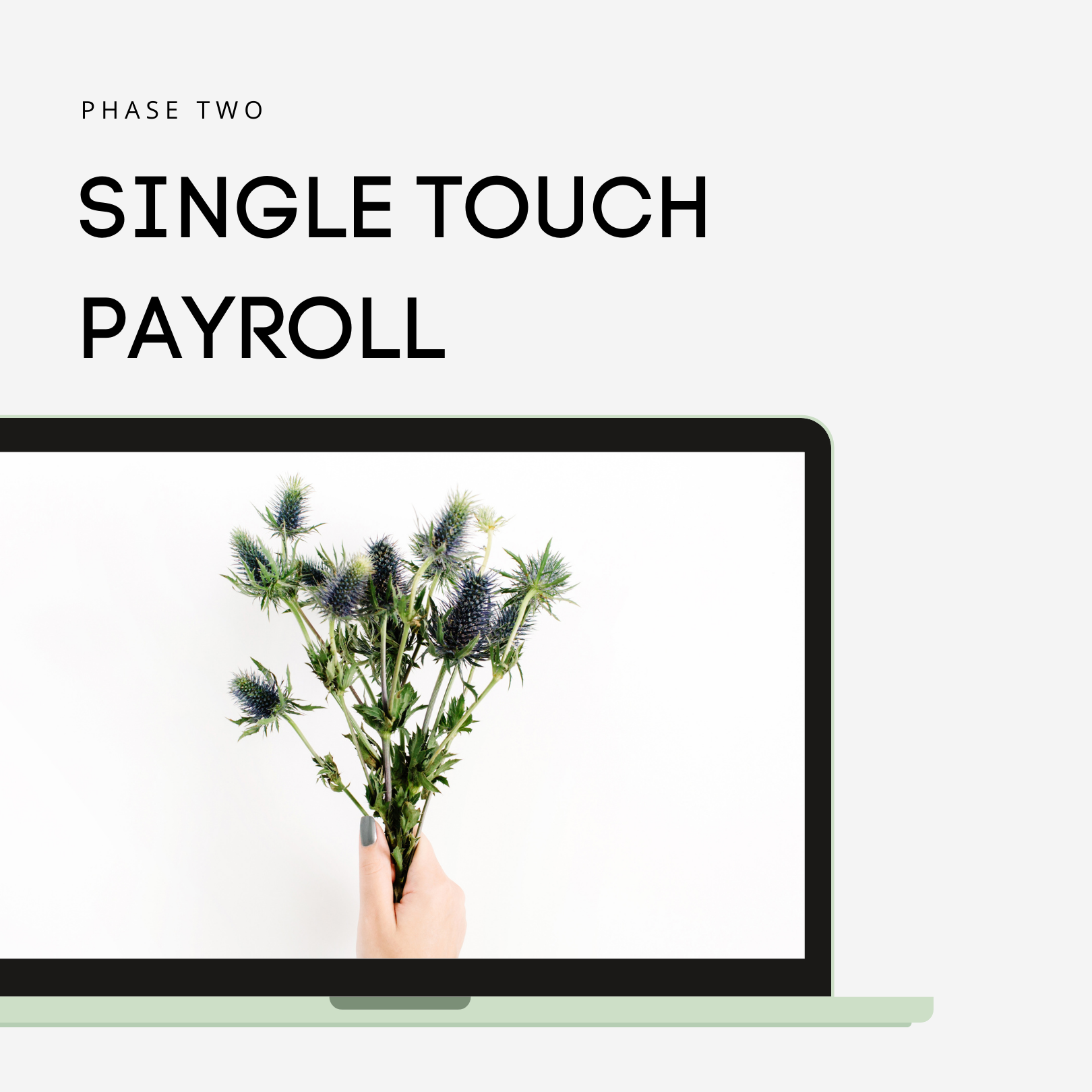 Single Touch Payroll Phase 2