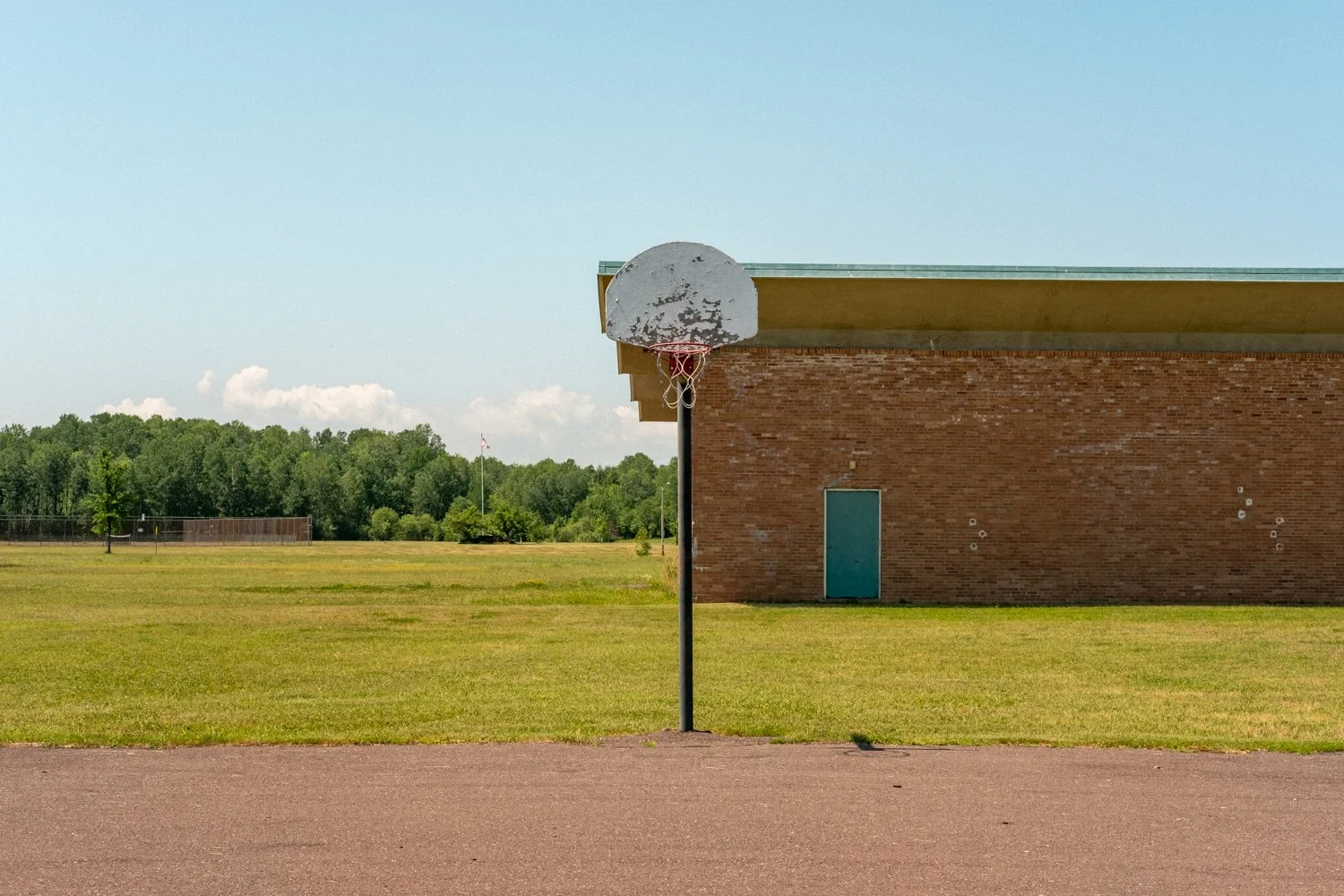White Pine Hoop-1.jpg