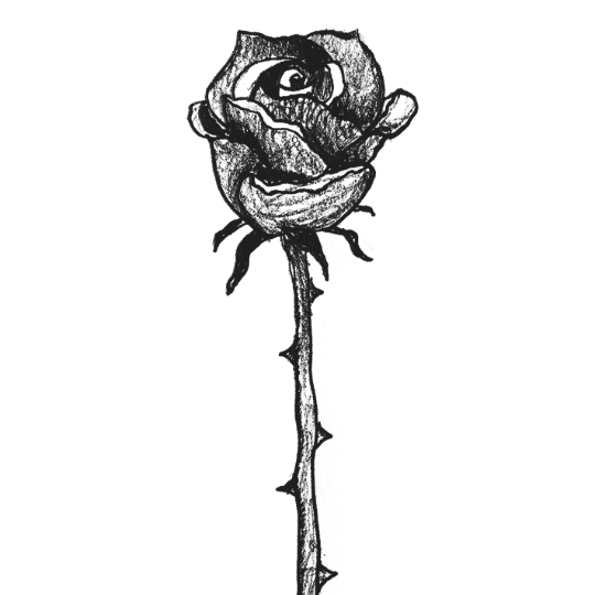 June ‘23: New Song