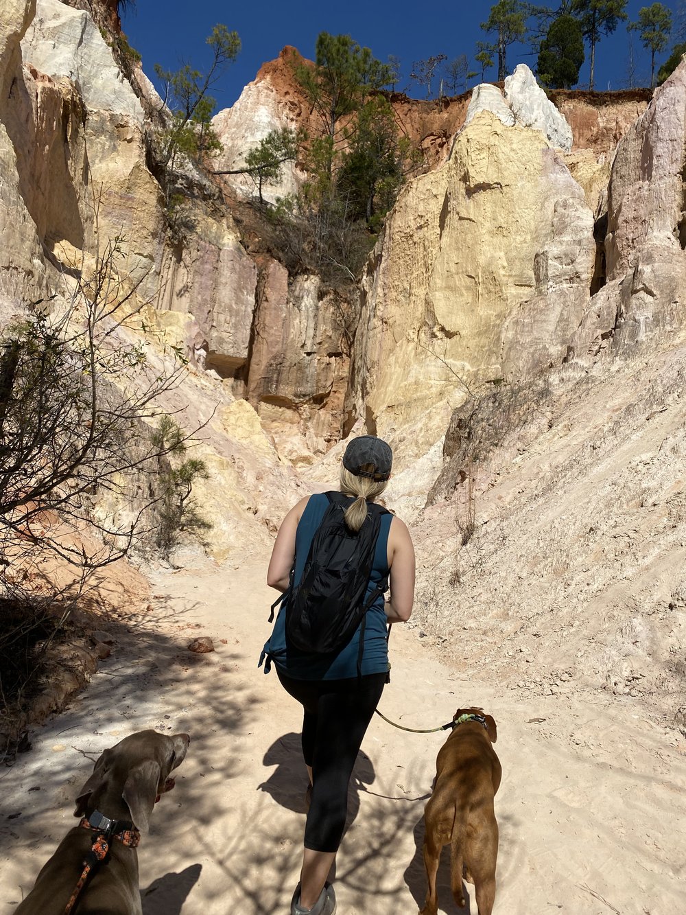 Kt dogs canyon 7.jpeg