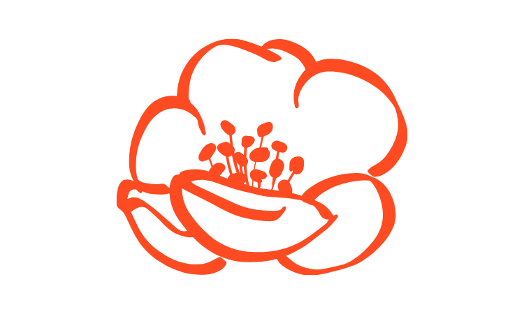 Red line drawing of a flower with five rounded petals and a central cluster of stamens.