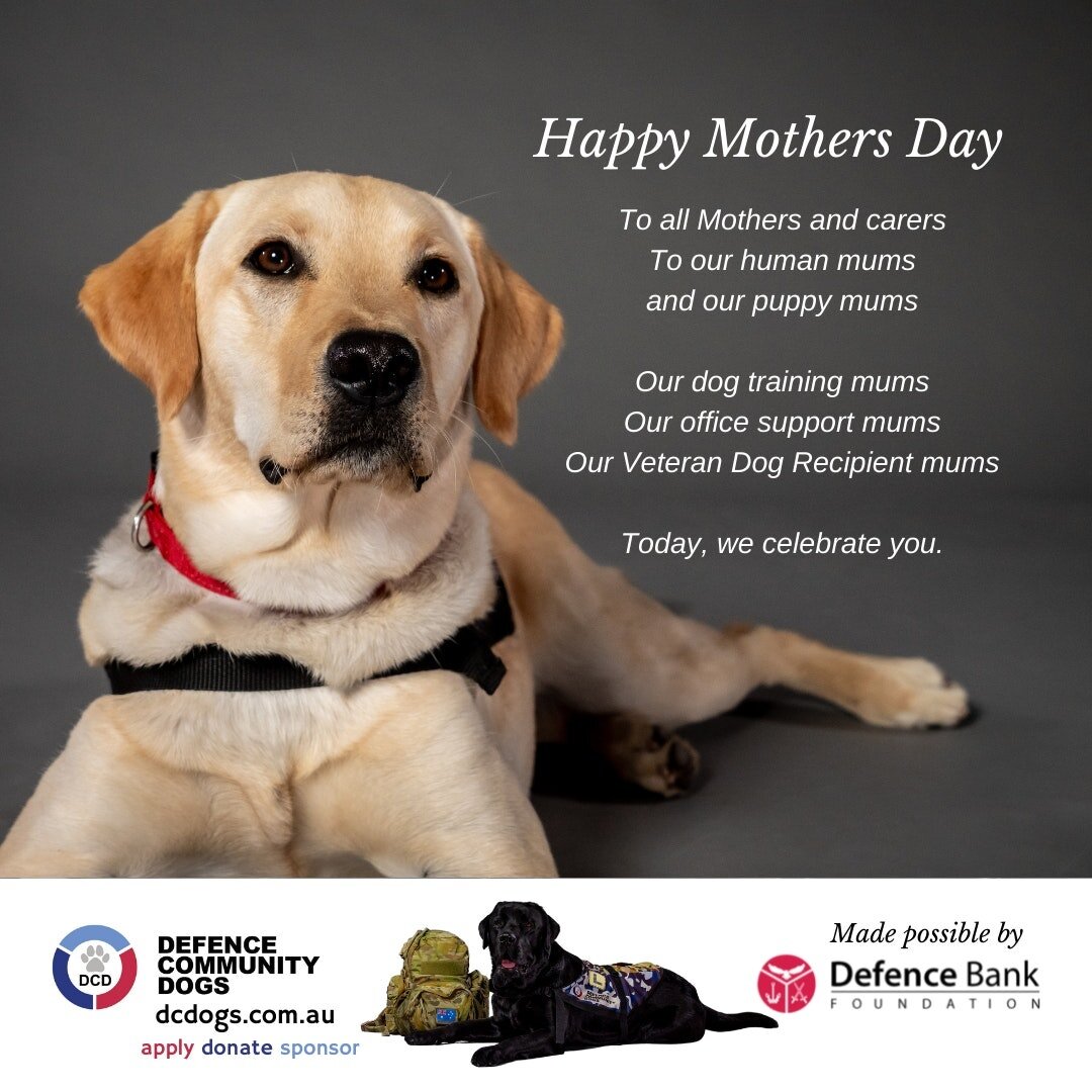 To all Mothers and carers
To our human mums
and our puppy mums
Our dog training mums
Our office support mums
Our Veteran Dog Recipient mums

Today, we celebrate you.

Happy Mothers Day!

🥰🐾🐕&zwj;

Defence Community Dogs program provides, at no cos