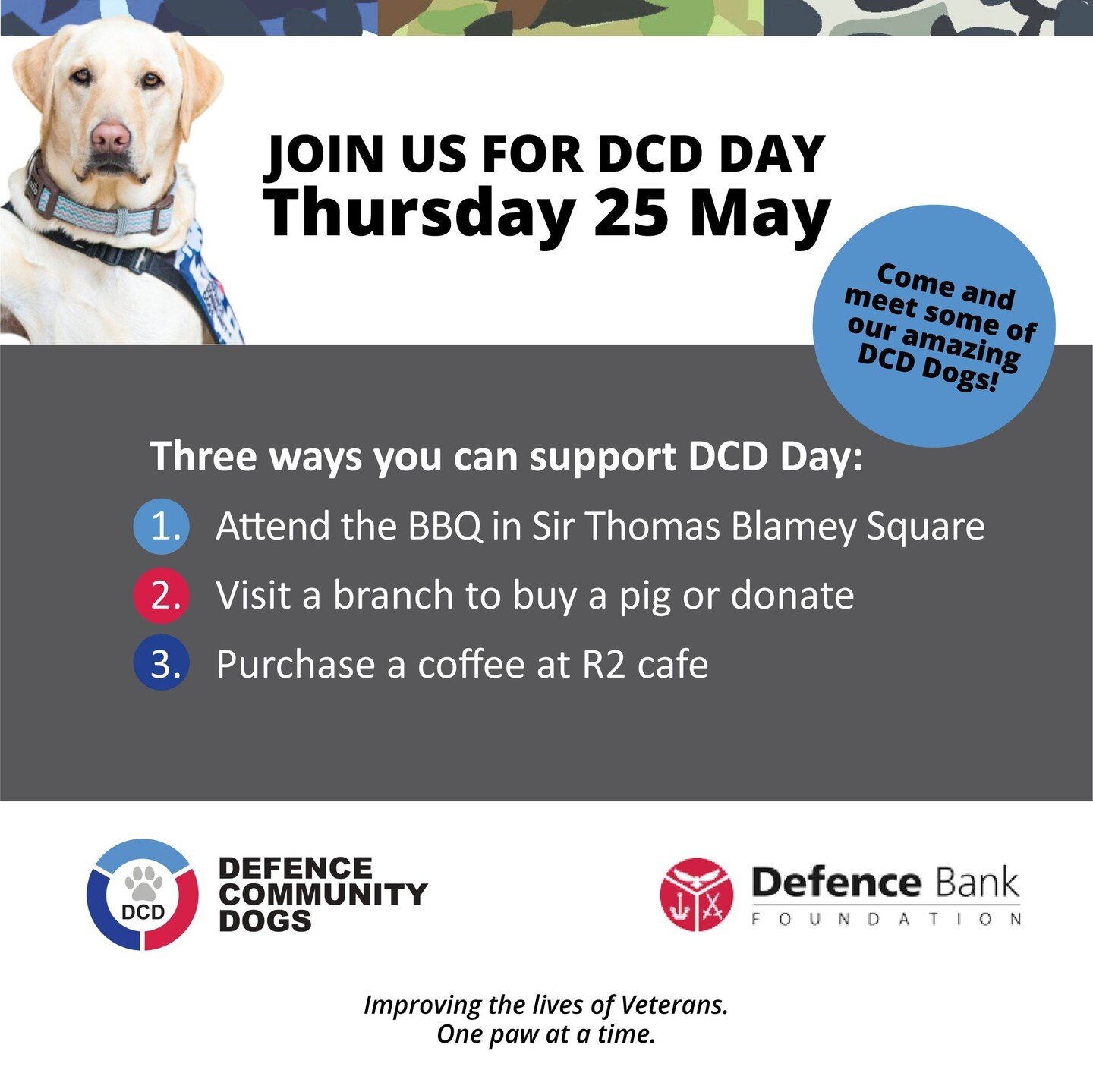 For those who work in Russell Offices - Thursday 25 May 2023 is DCD Day! 
 
Everyone is welcome to come along and meet some of the amazing dogs who are changing the lives of our Veterans. 
 
On DCD Day, there are three ways you can help support Defen