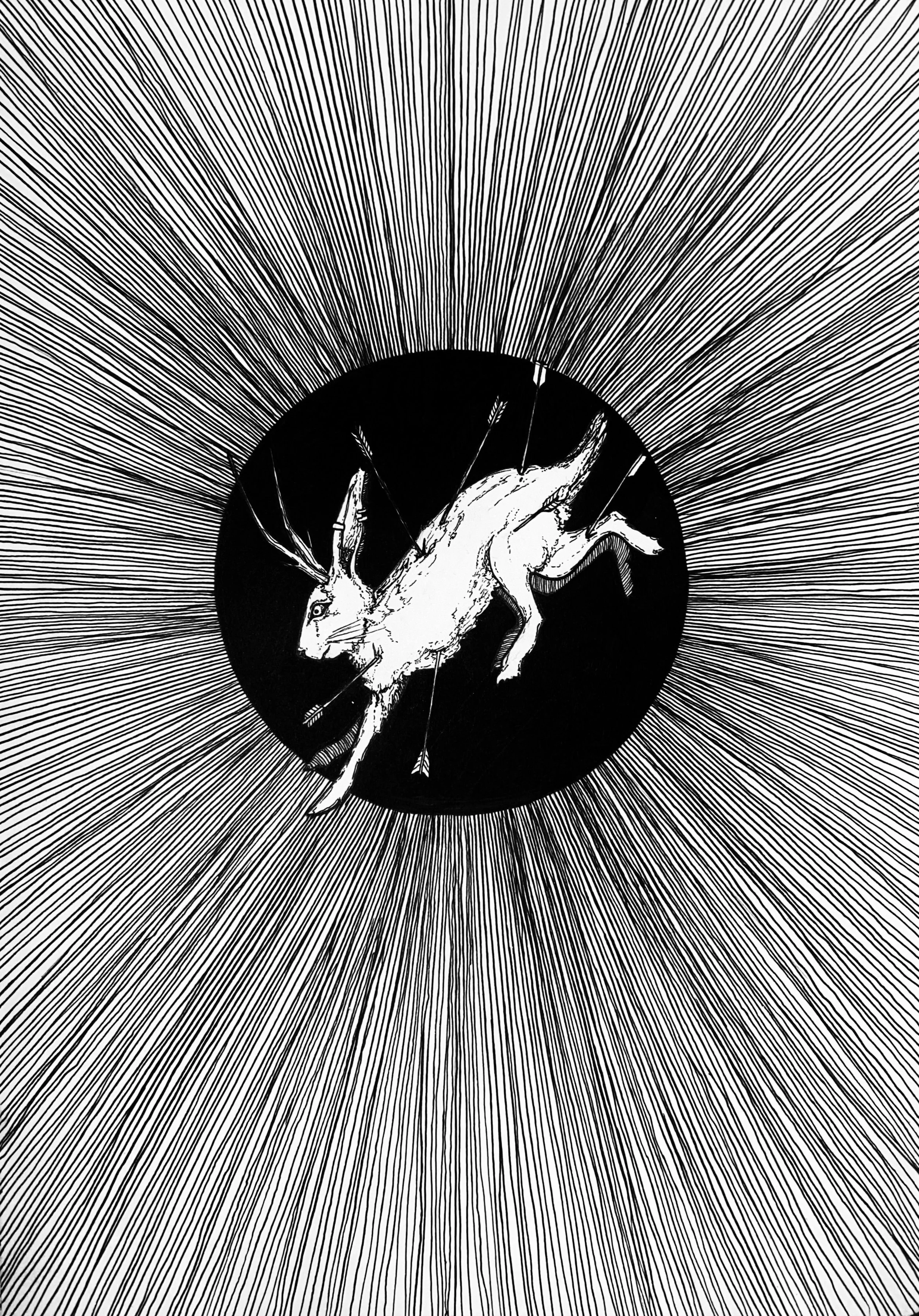 The Six Legged Hare & The Midnight Sun