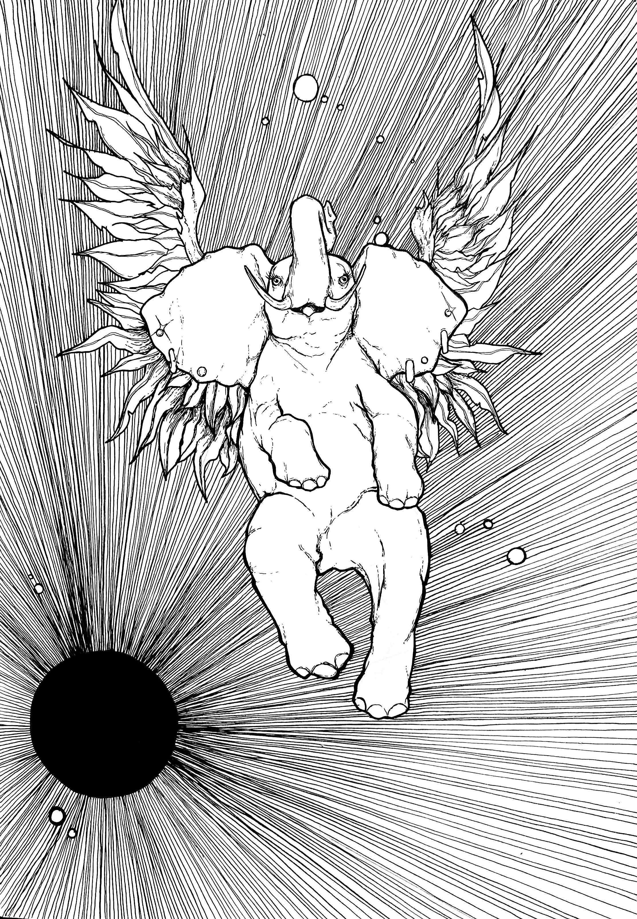 The Flying Elephant & The Midnight Sun