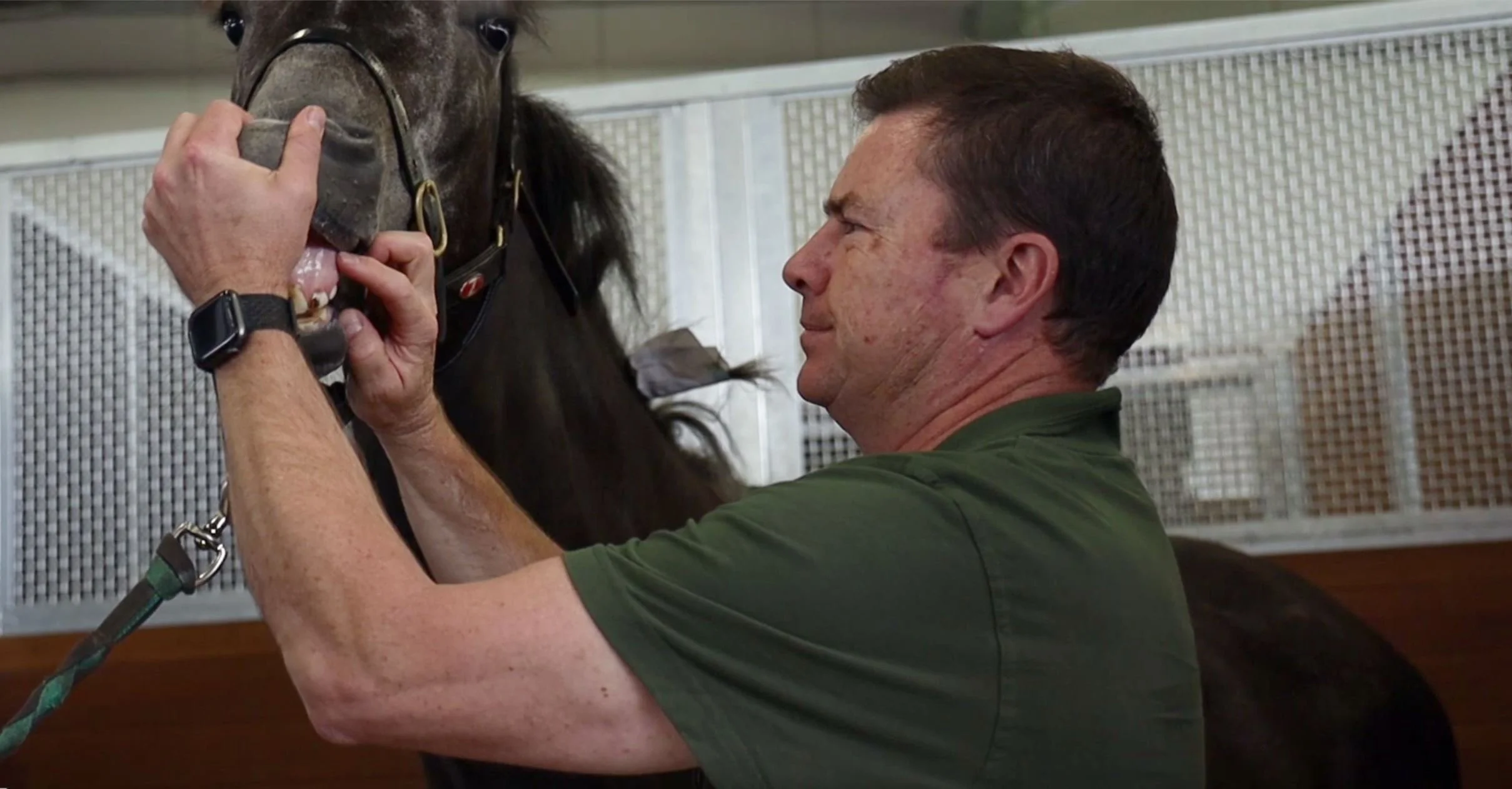 General physical examination.JPG