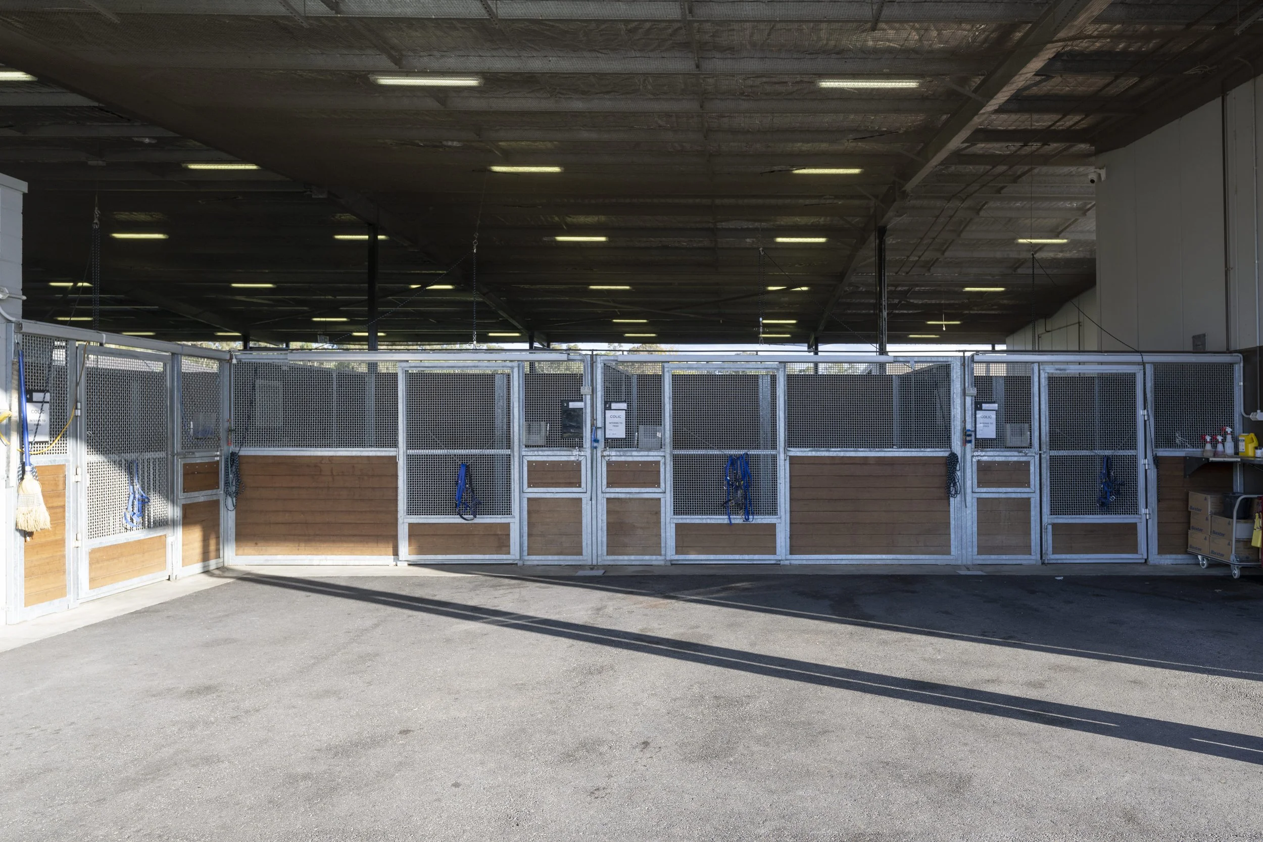 stables ICU