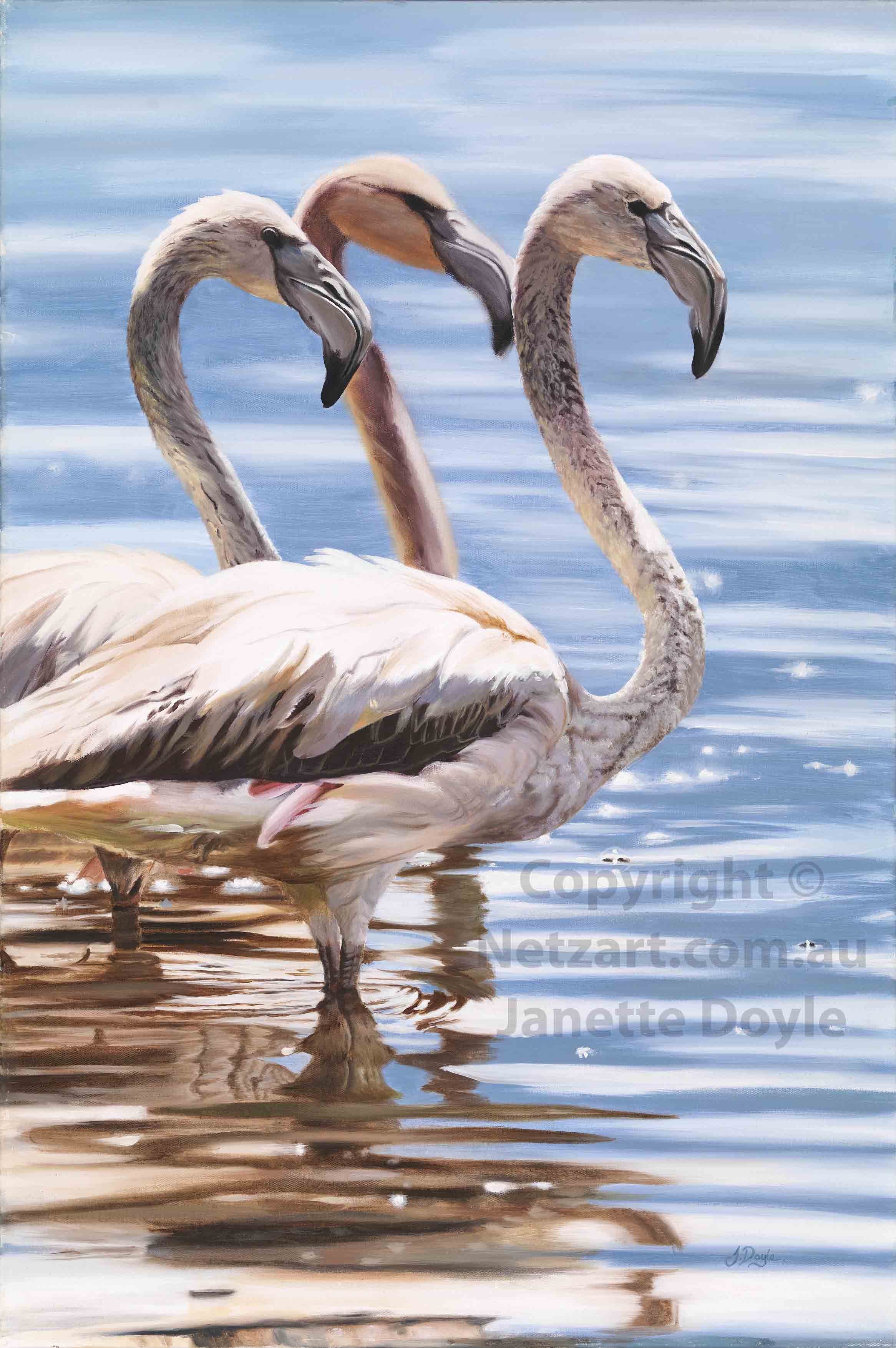 Curious Reflections