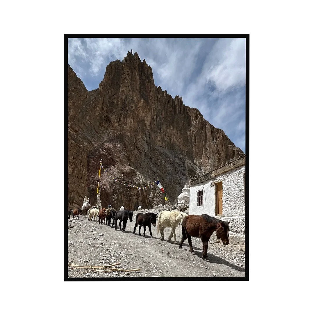 Trail thoughts.  Maybe hypoxic. 

Many cultures and many different relationships with horses. However it seems the horses have the very same relationship with many different cultures. 
They see us for what we are.  We see them for what we need.