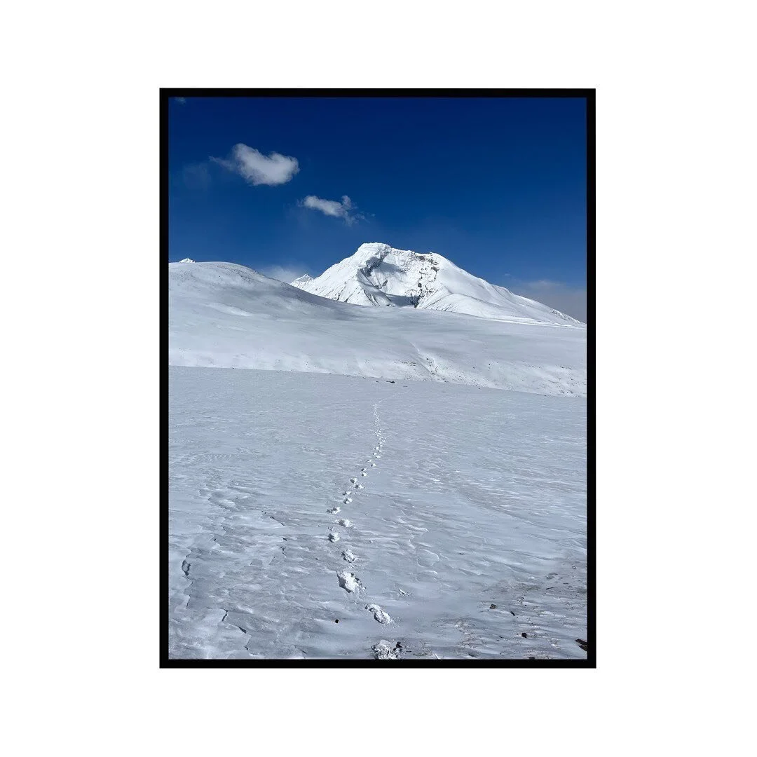 No path to follow
No one to guide 
Just a goal in the distance 
And choices to be made.