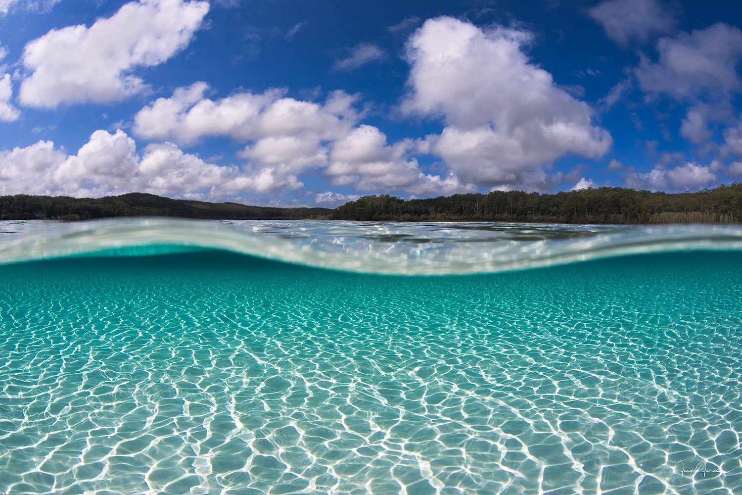 A split shot or over under photo at Lake Mackenzie Fraser Island