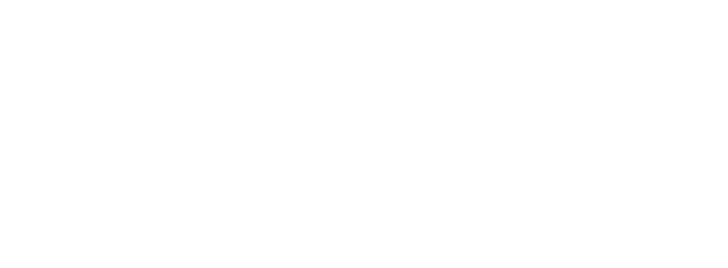 Level 