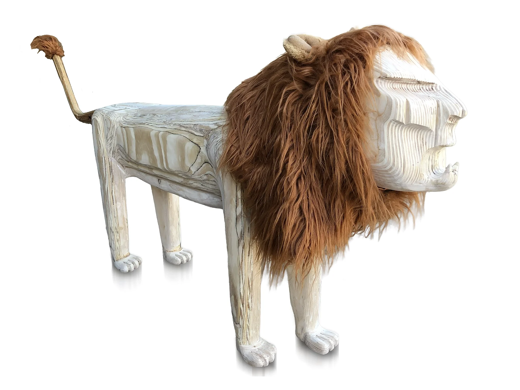 5DD2FEB5-6B4D-496C-AD3A-376AB4A7EDCC-lion.webp
