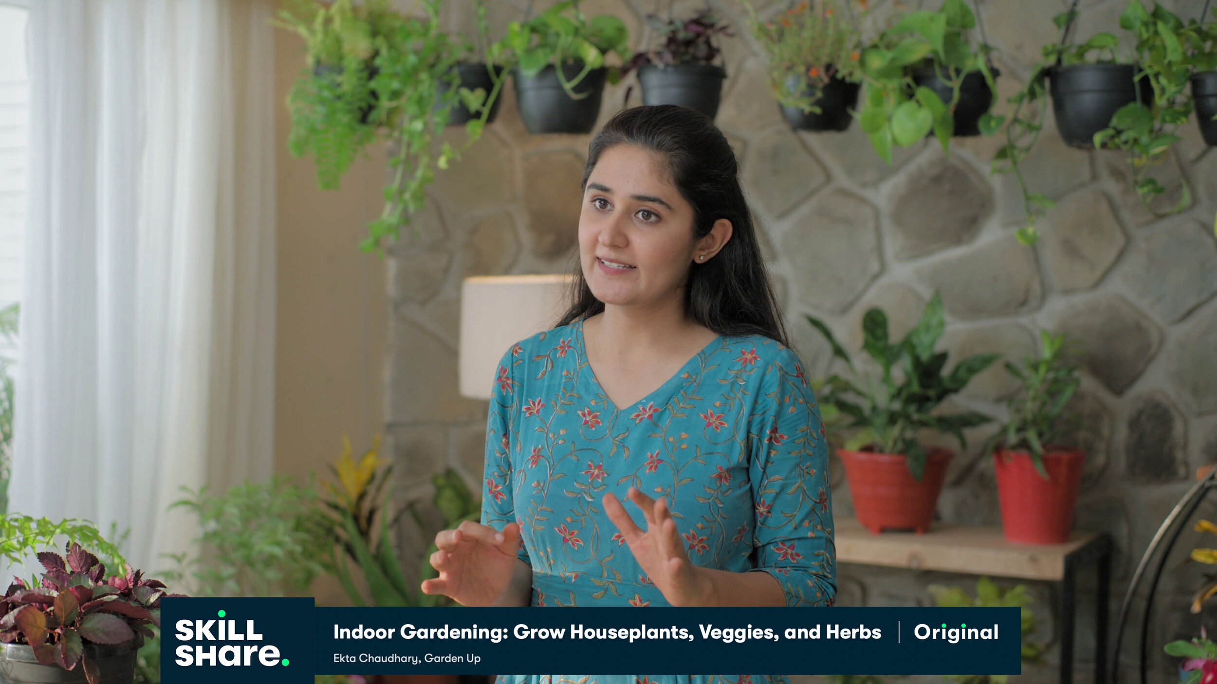 Skillshare : Houseplants for Beginners