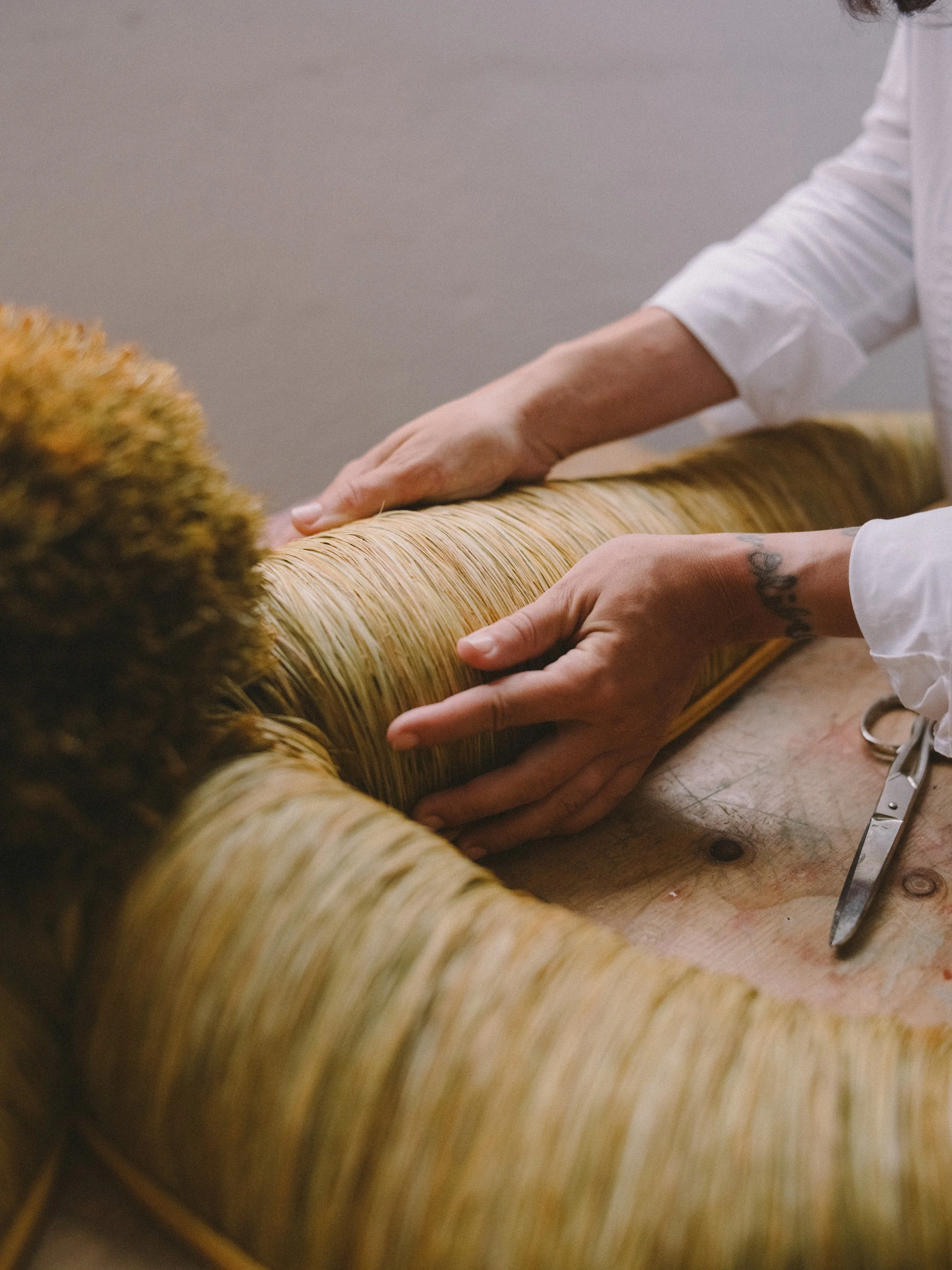 DSCF7324_LR.jpg (copia) (copia)