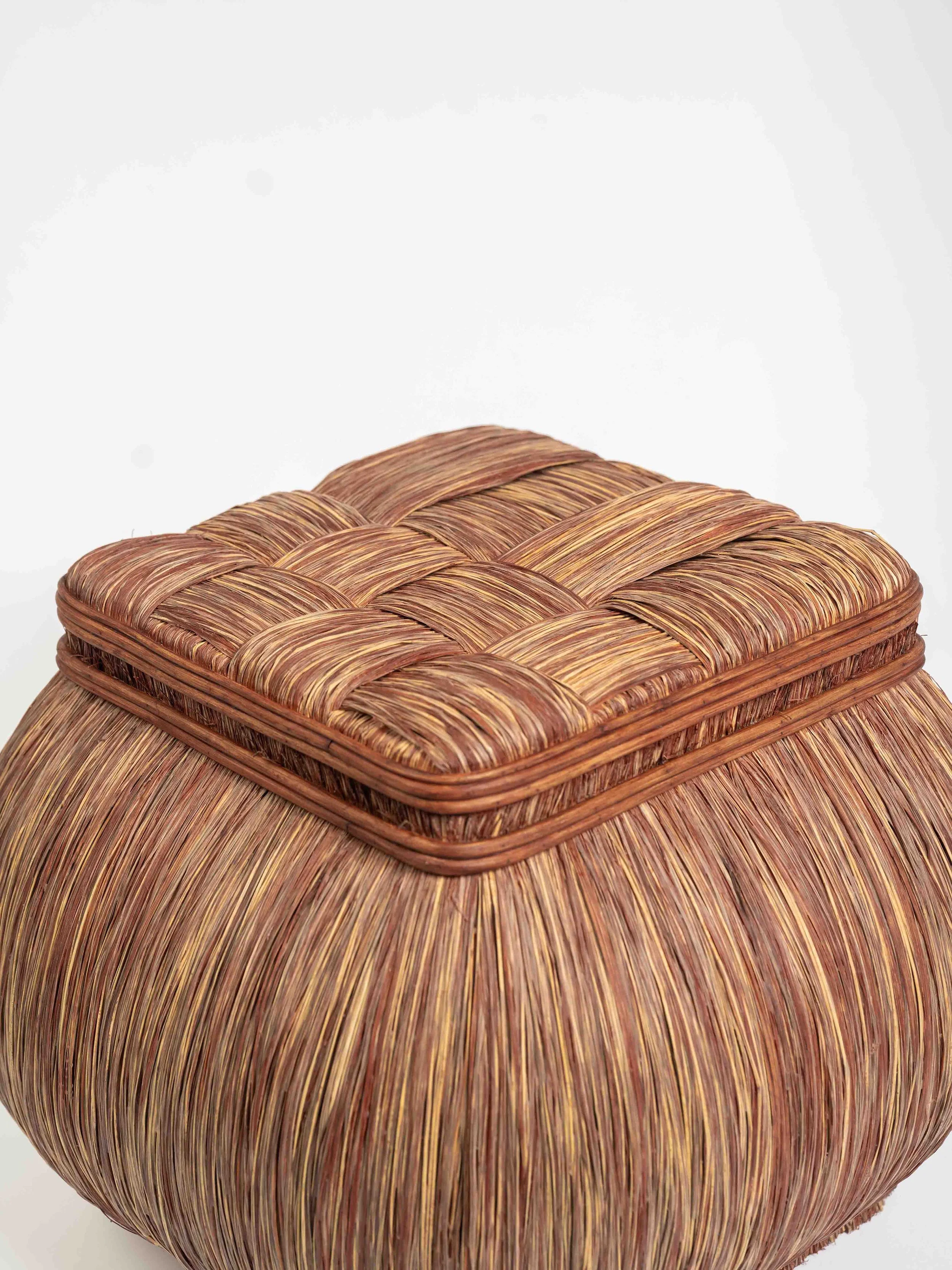 Sesión de estudio-033-2 (2).jpg