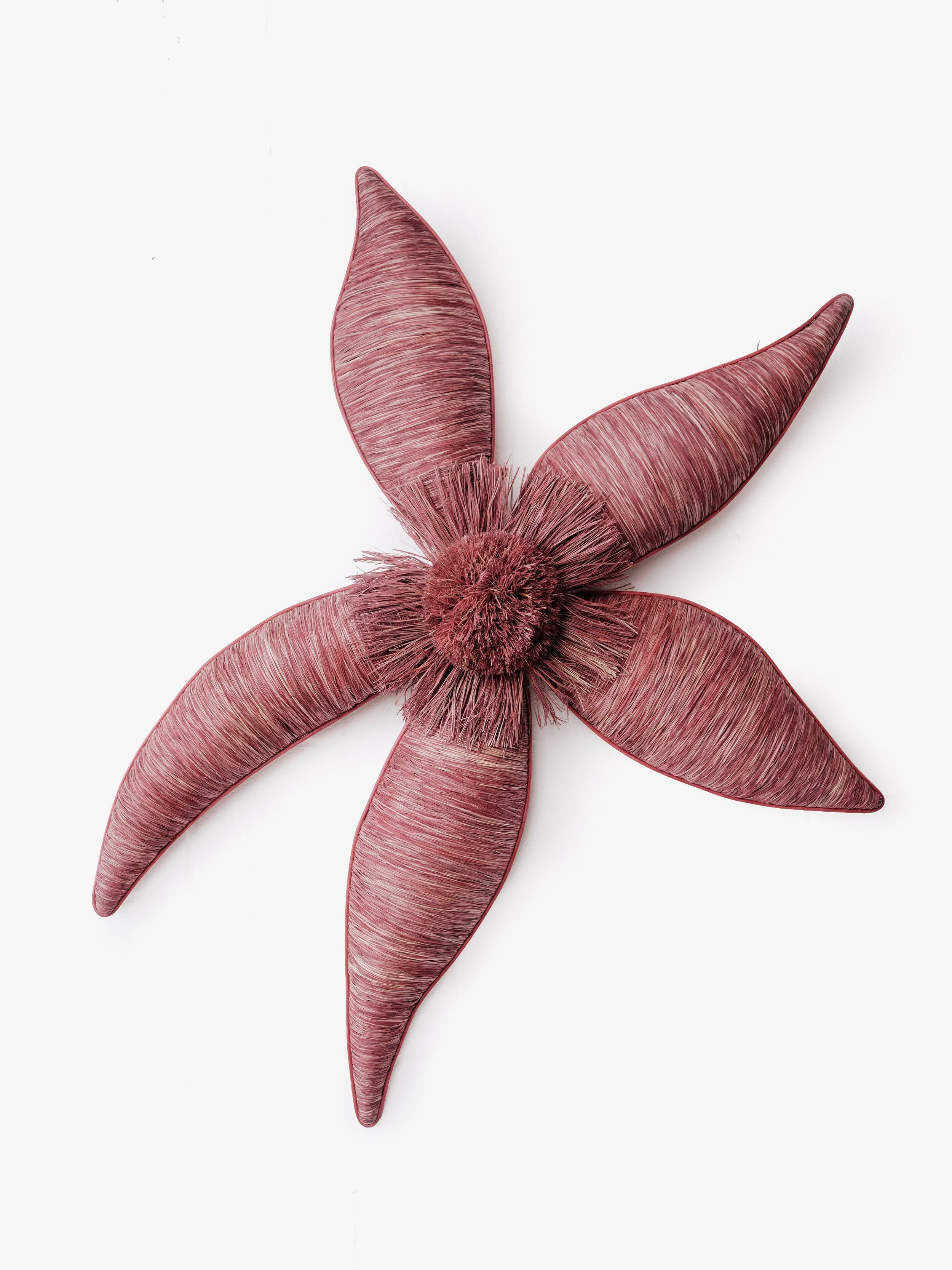 0214_estrella _LR (1).jpg