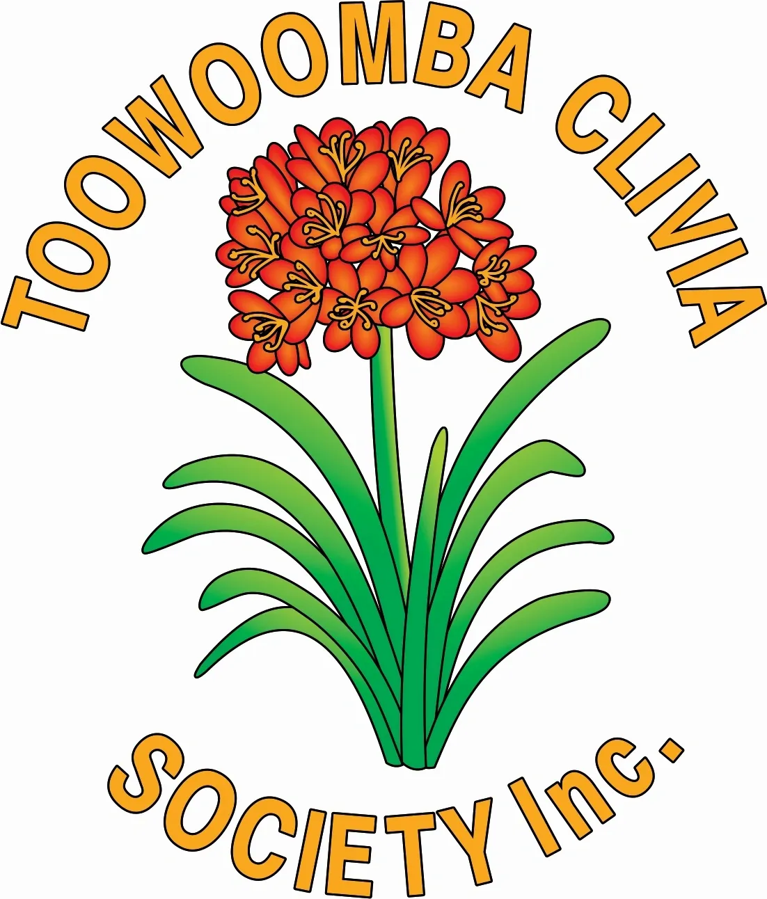 Toowoomba Clivia Society Inc.