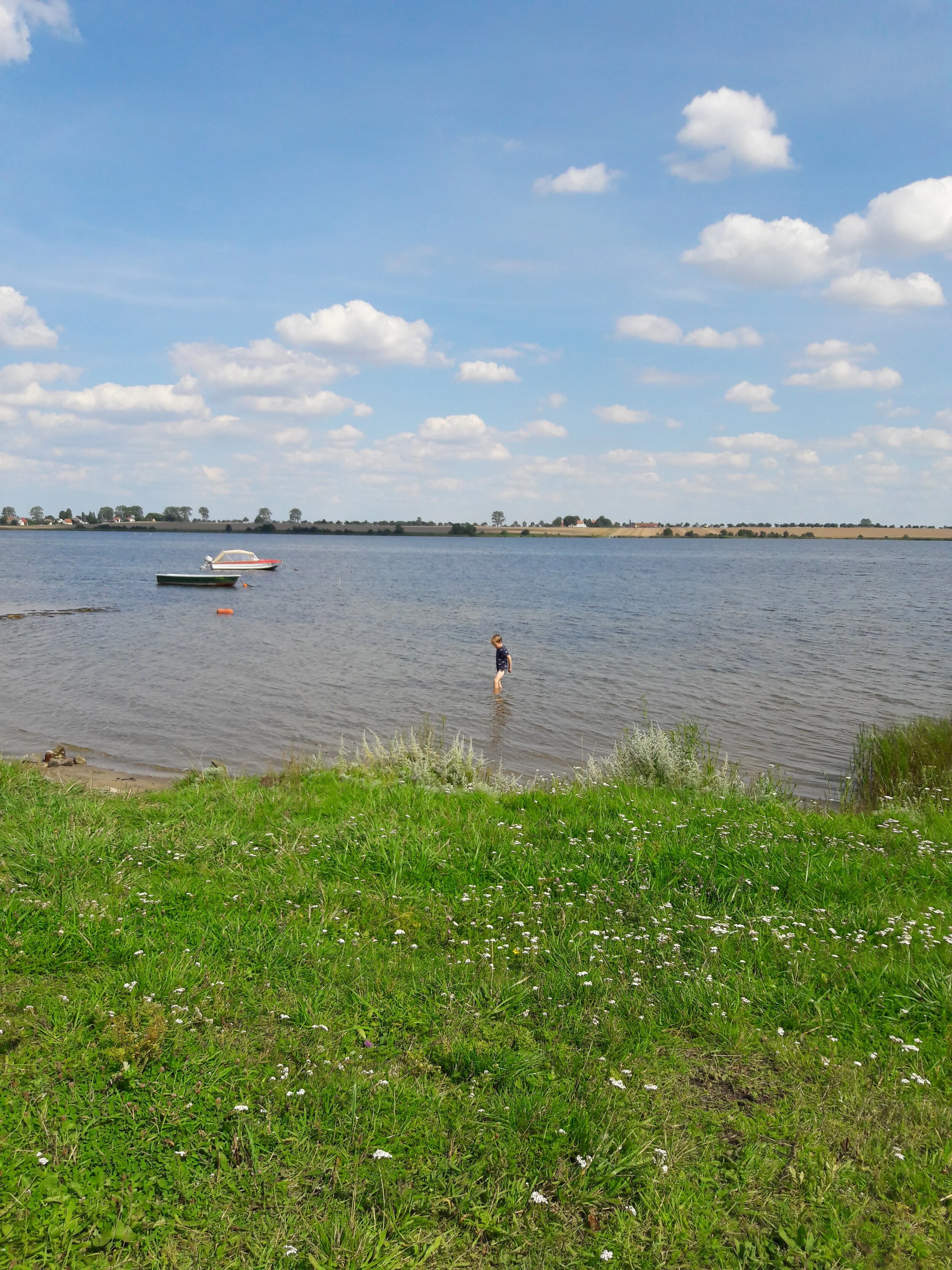 20170807_145952.jpg